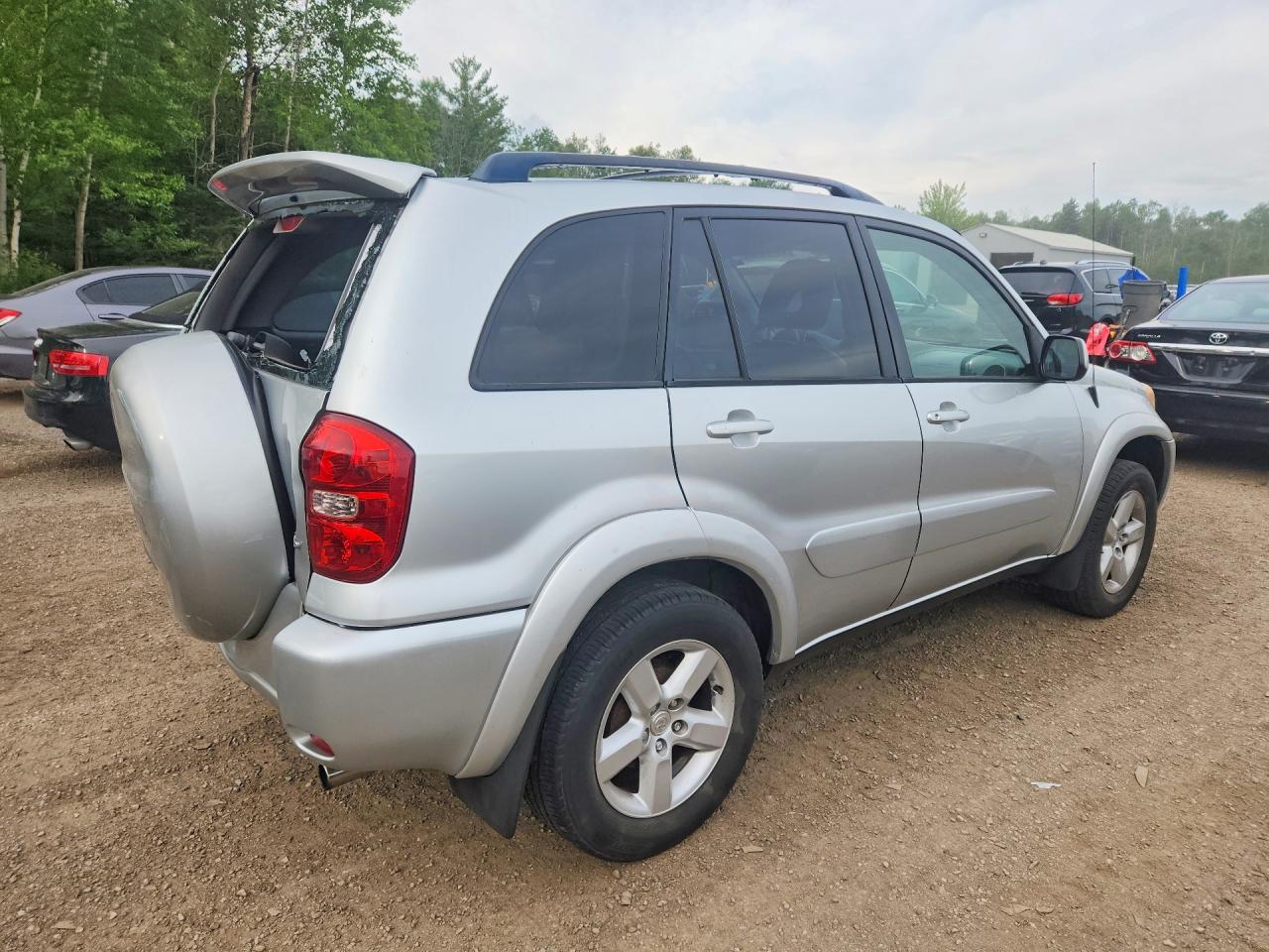 2004 Toyota Rav4 Base Silver vin: JTEHD20V046014235