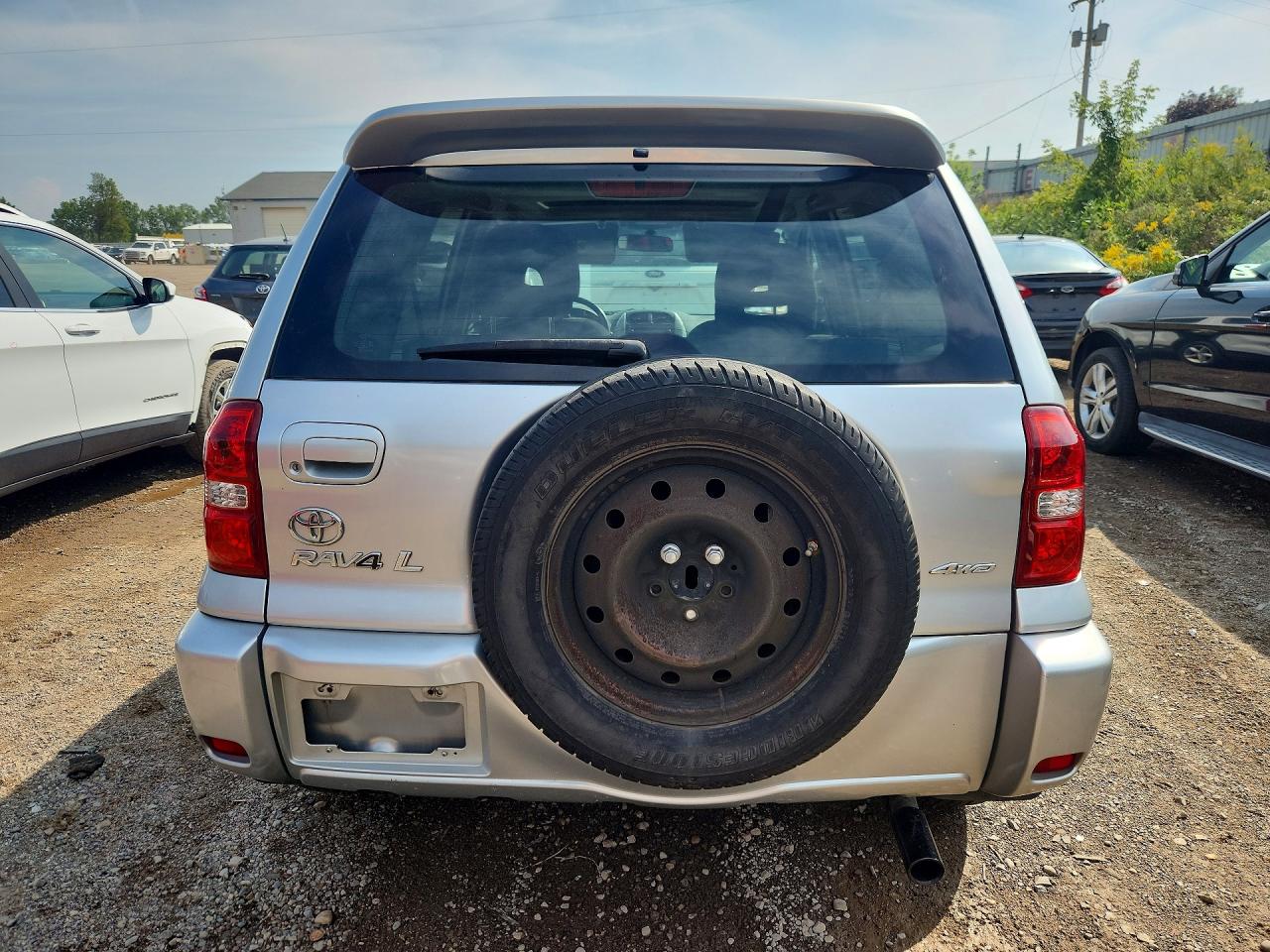 2004 Toyota Rav4 Base Silver vin: JTEHD20V346009773