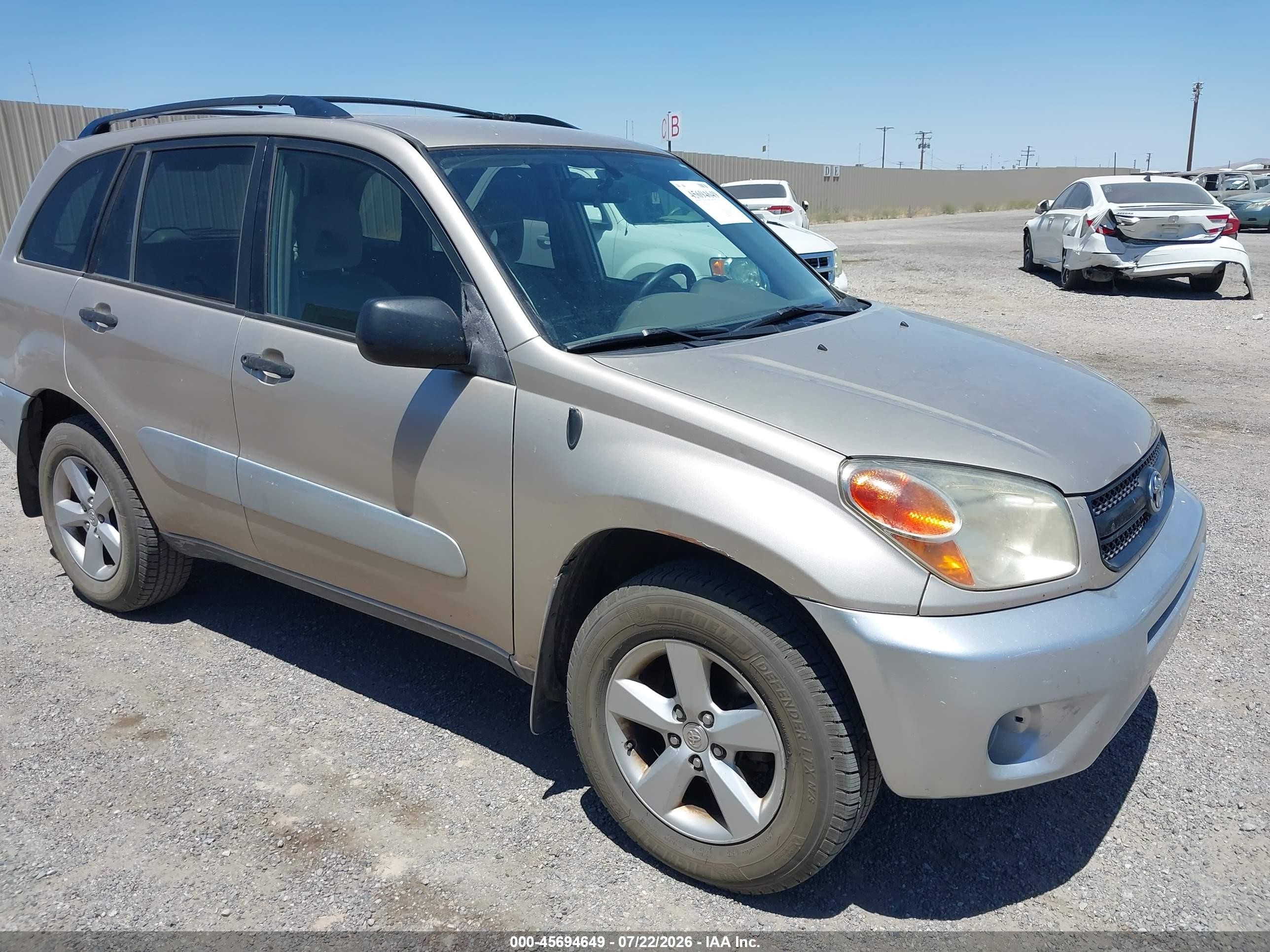 2004 Toyota Rav4   Champagne vin: JTEHD20VX40023561