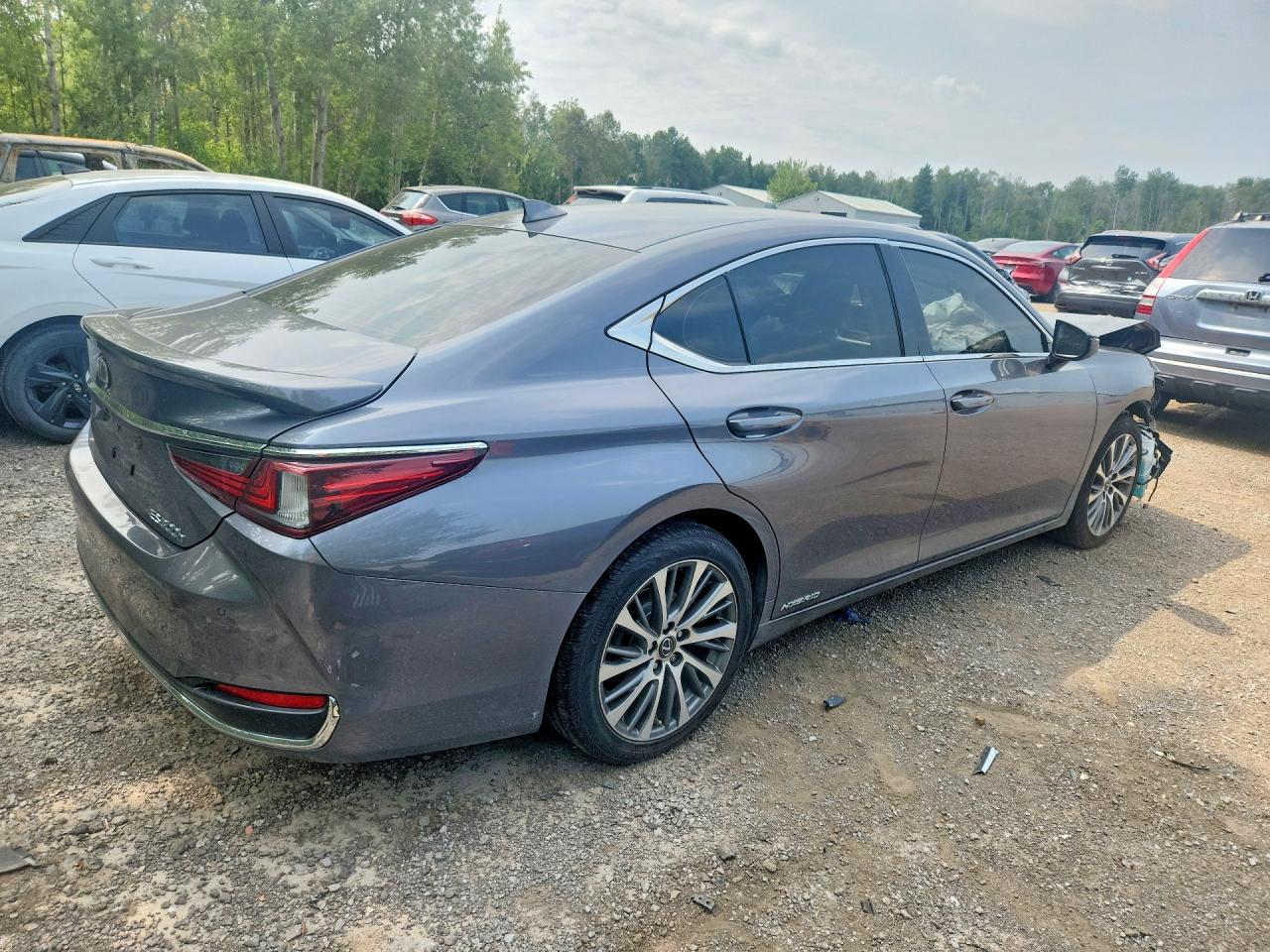 2019 Lexus Es 300h Charcoal vin: JTHB21B15K2005201