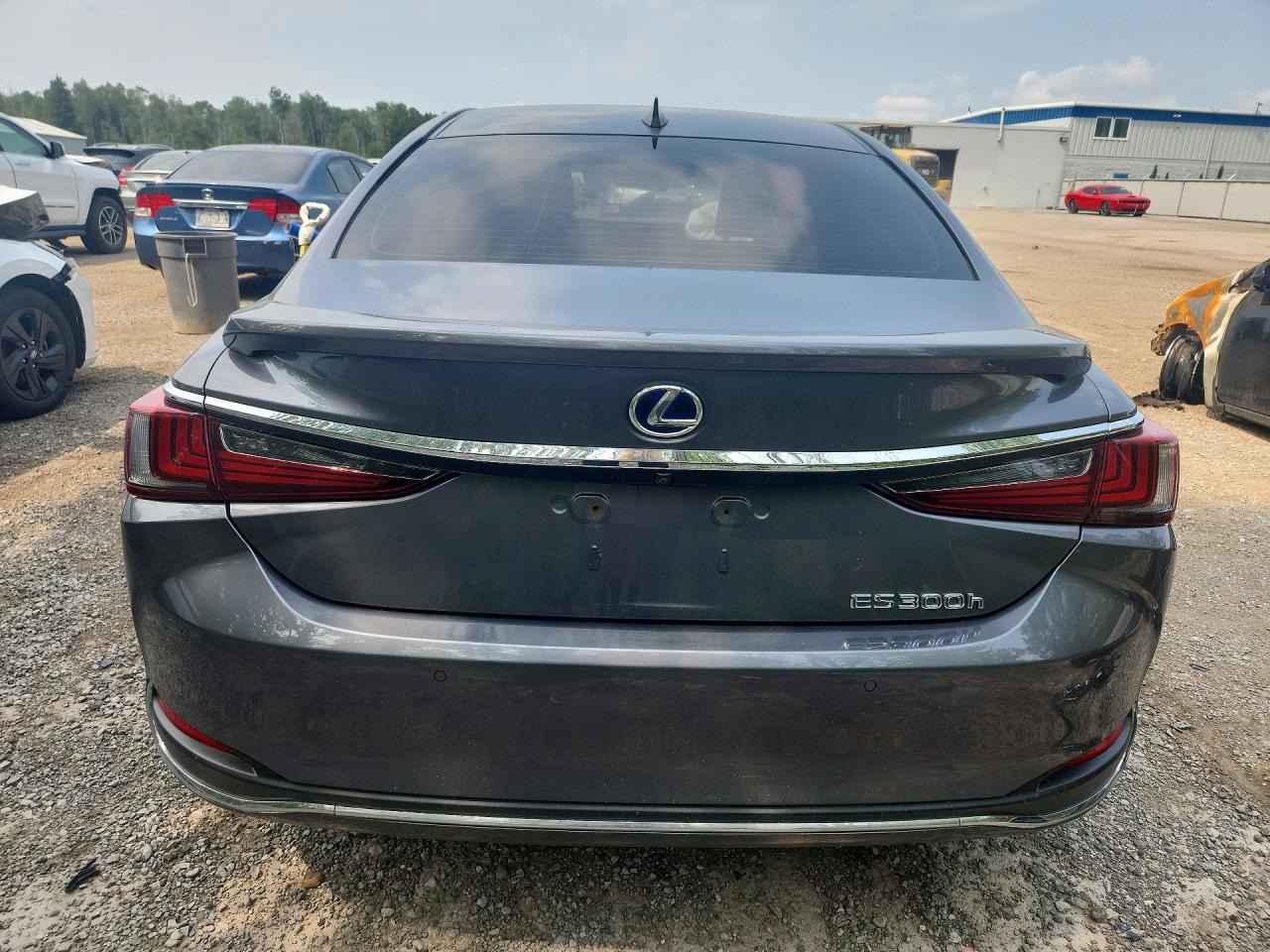 2019 Lexus Es 300h Charcoal vin: JTHB21B15K2005201