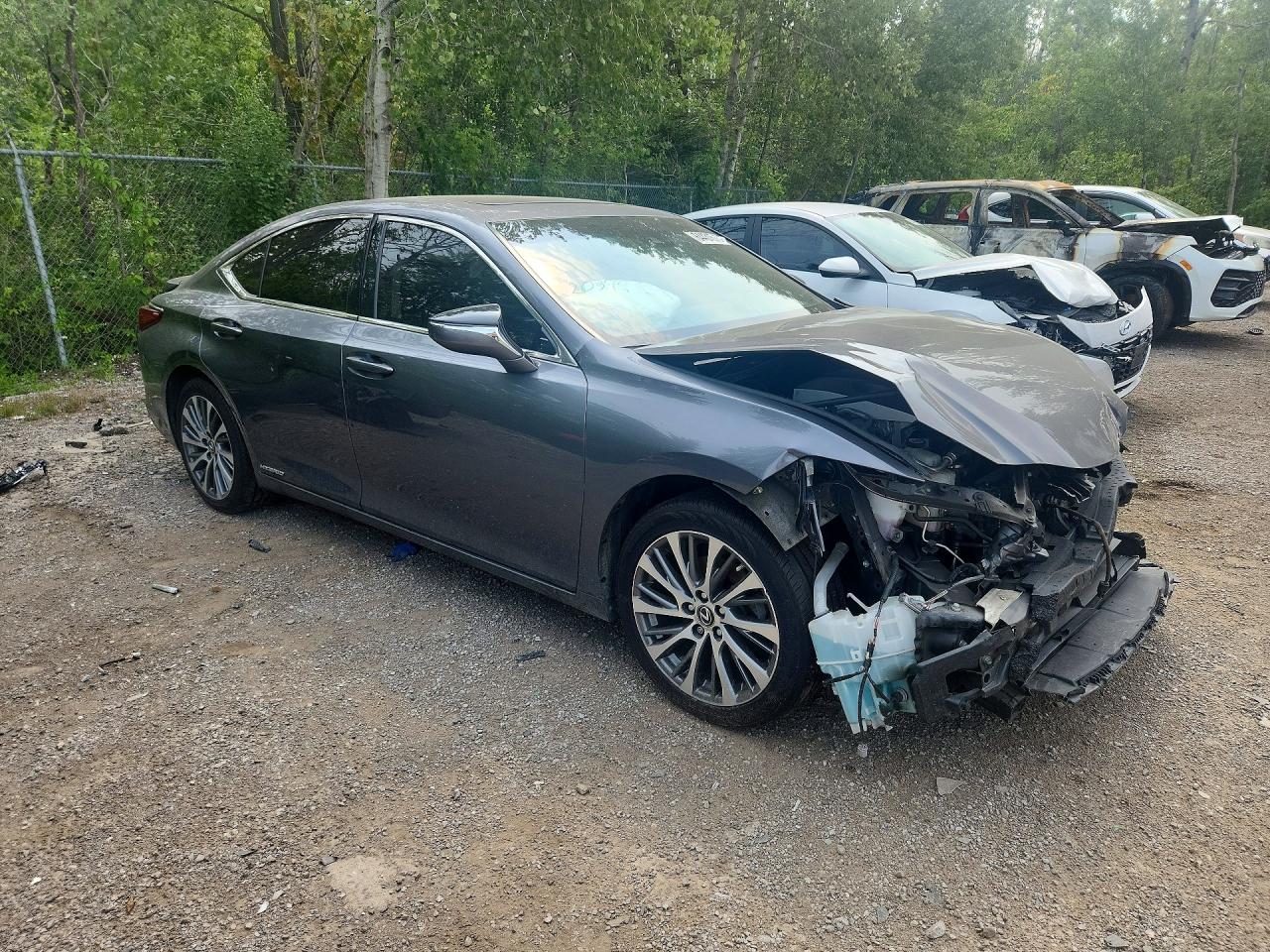 2019 Lexus Es 300h Charcoal vin: JTHB21B15K2005201