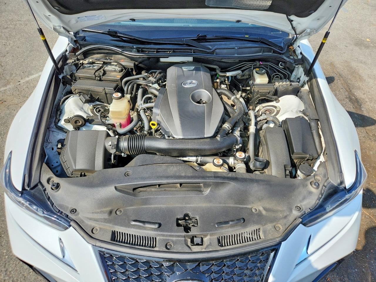 2019 Lexus Is 300 White vin: JTHBA1D21K5092473