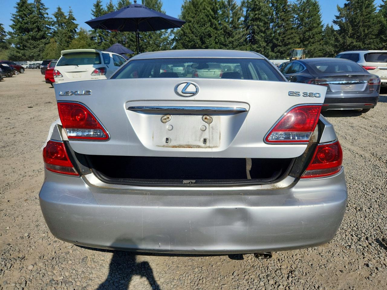 2005 Lexus Es 330 Серебряный vin: JTHBA30G055057019