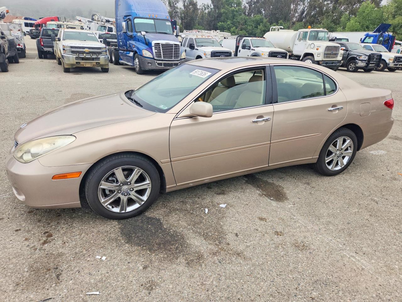 JTHBA30G055063984