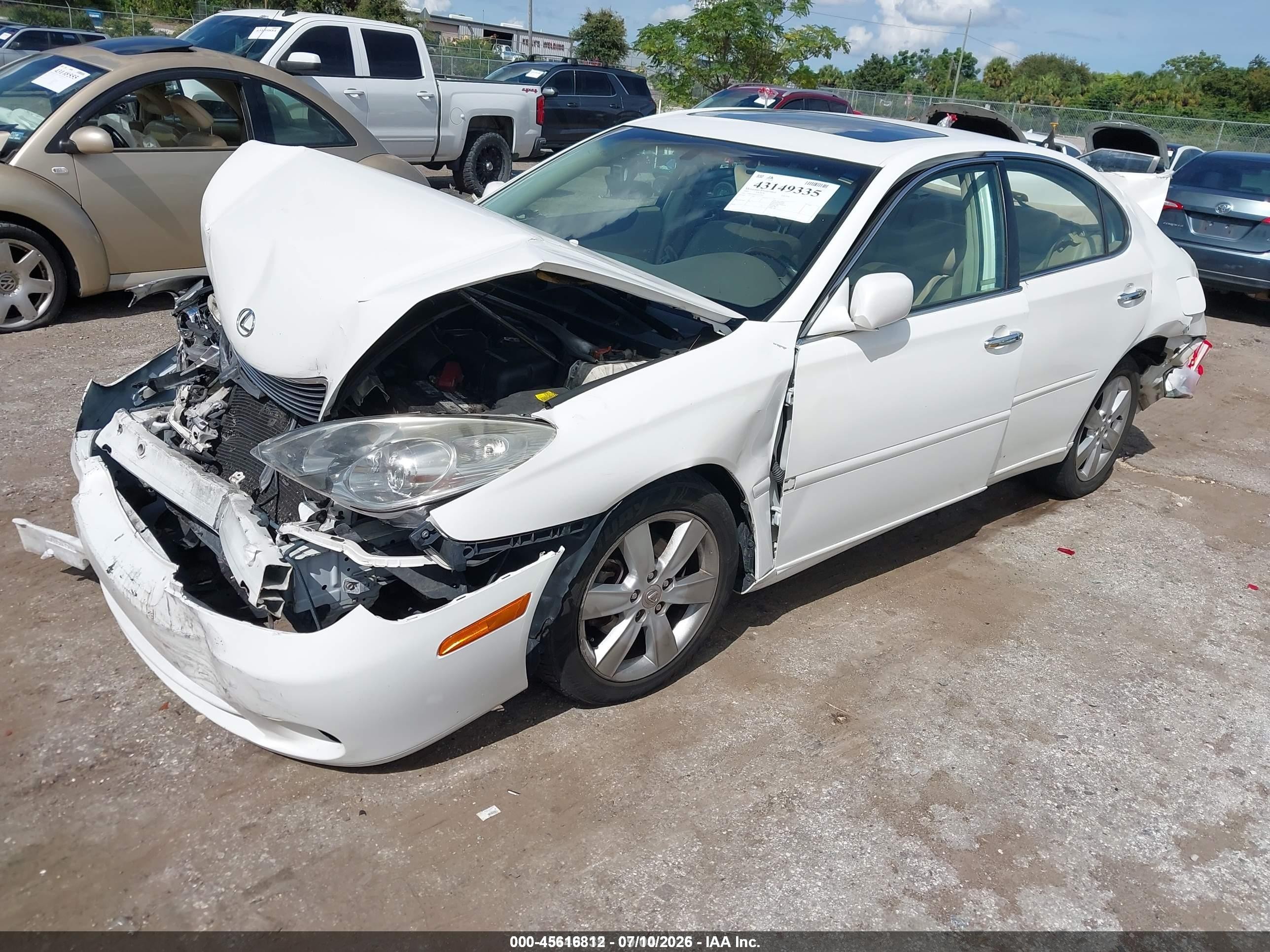 2005 Lexus Es 330   White vin: JTHBA30G055074791