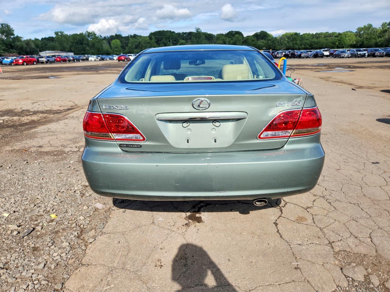 2005 Lexus Es 330 Green vin: JTHBA30G055099609