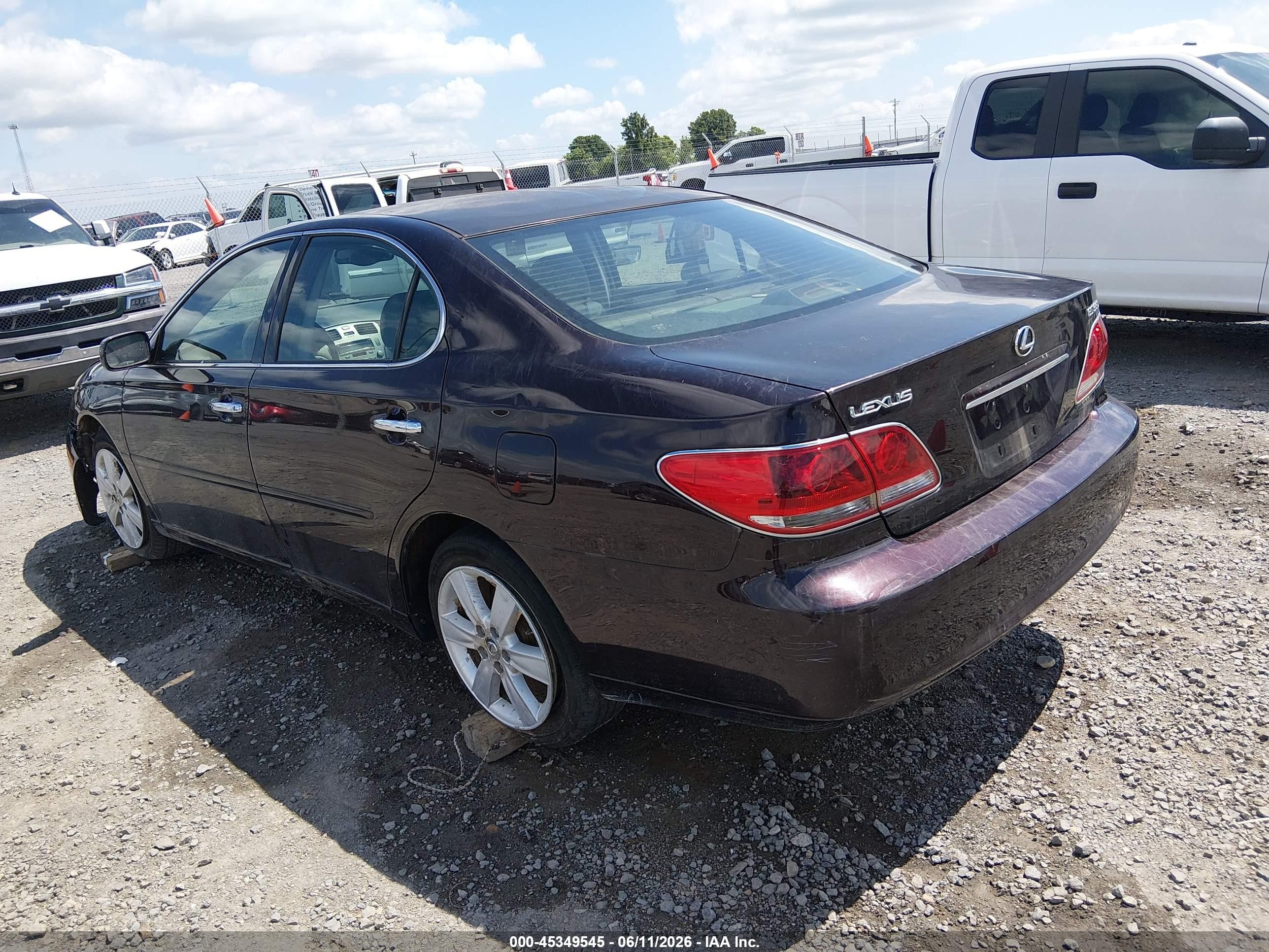 2005 Lexus Es 330   Purple vin: JTHBA30G055107773