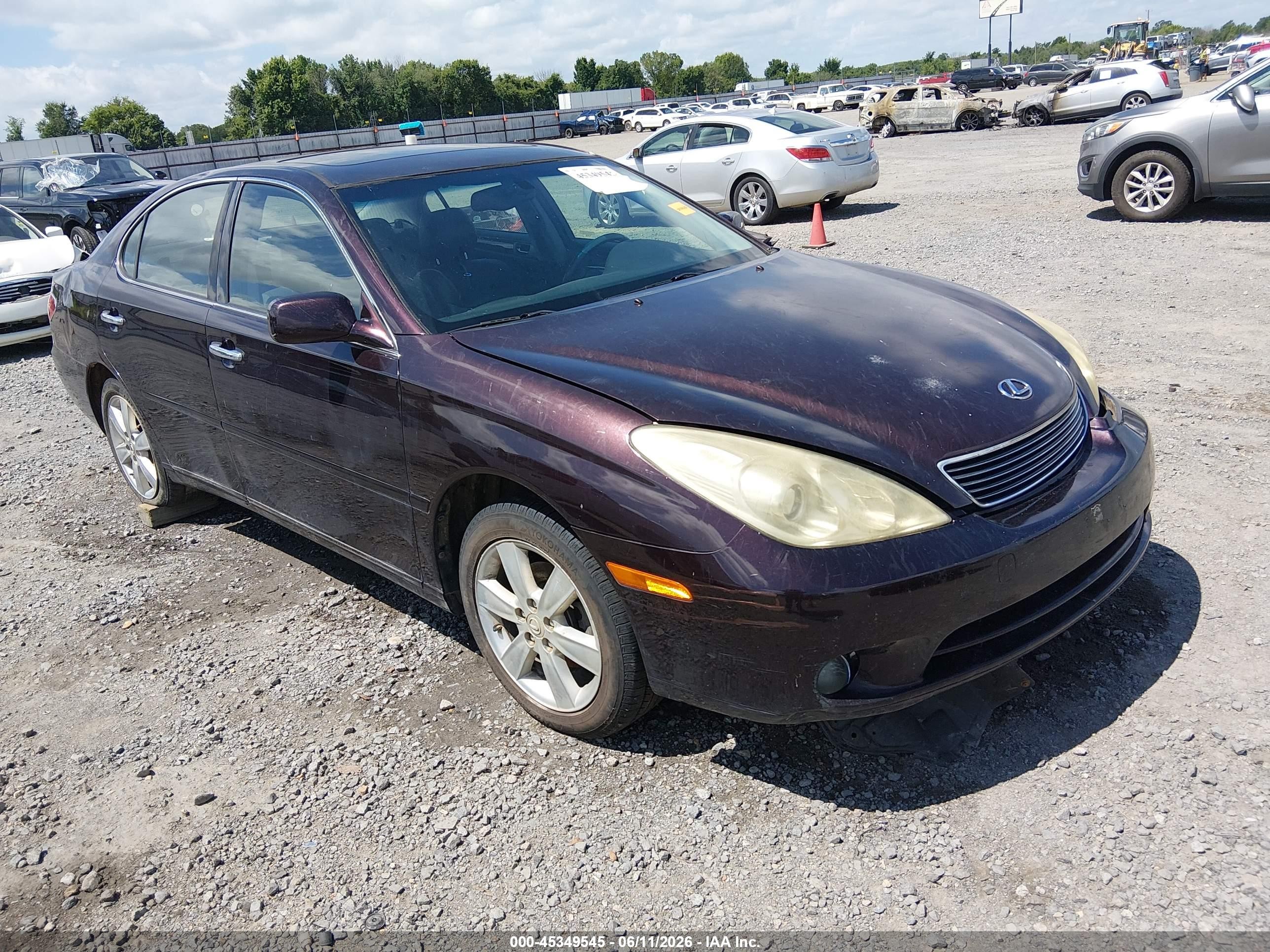 2005 Lexus Es 330   Purple vin: JTHBA30G055107773