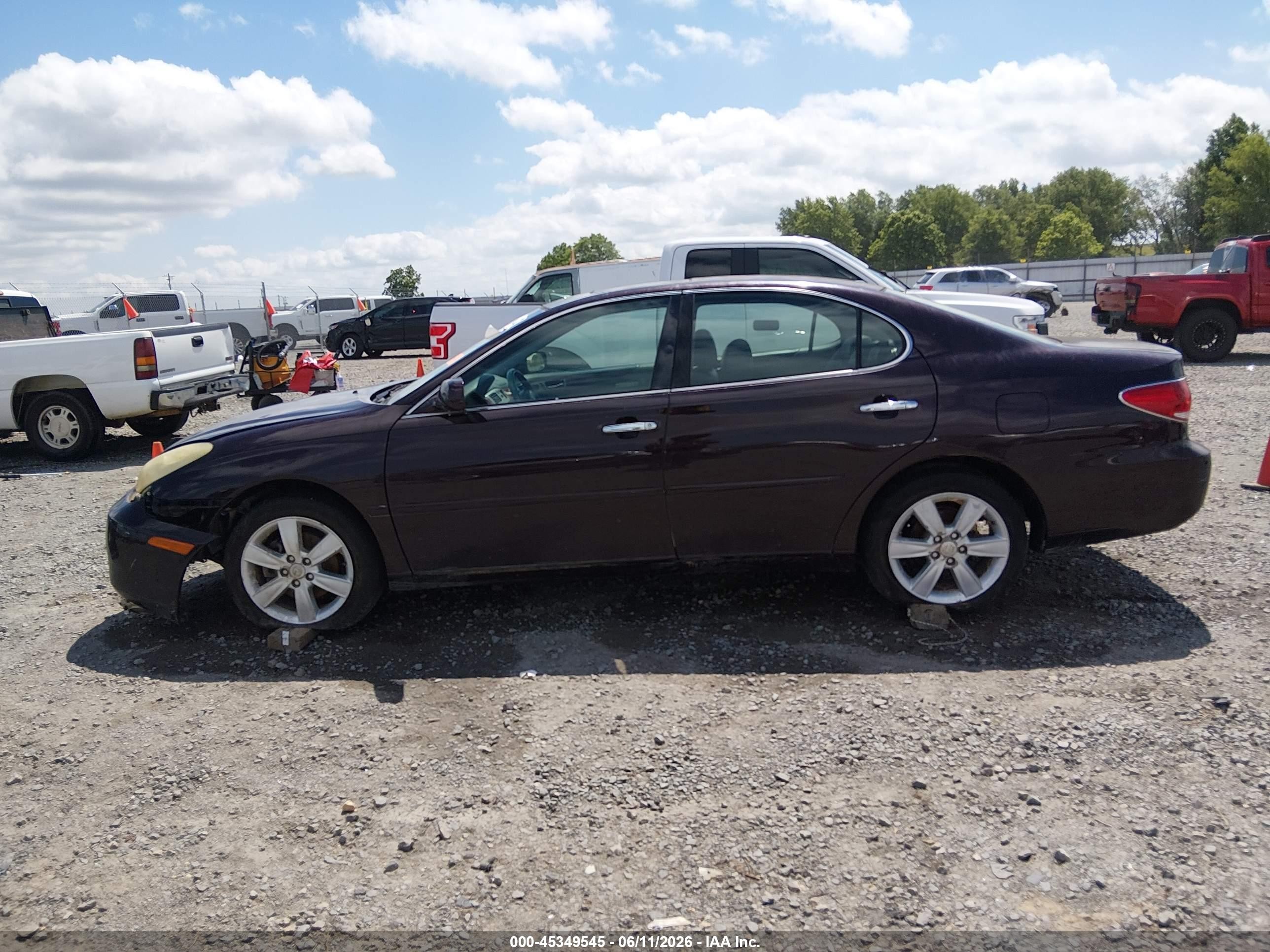 2005 Lexus Es 330   Purple vin: JTHBA30G055107773