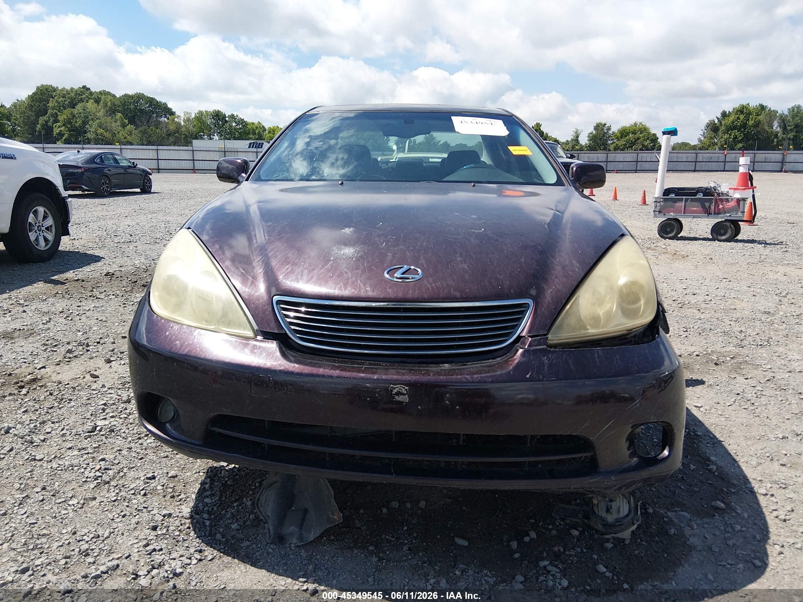 2005 Lexus Es 330   Purple vin: JTHBA30G055107773