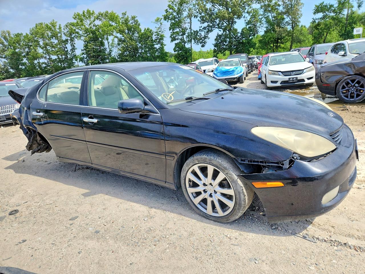 2004 Lexus Es 330 Black vin: JTHBA30G145001508