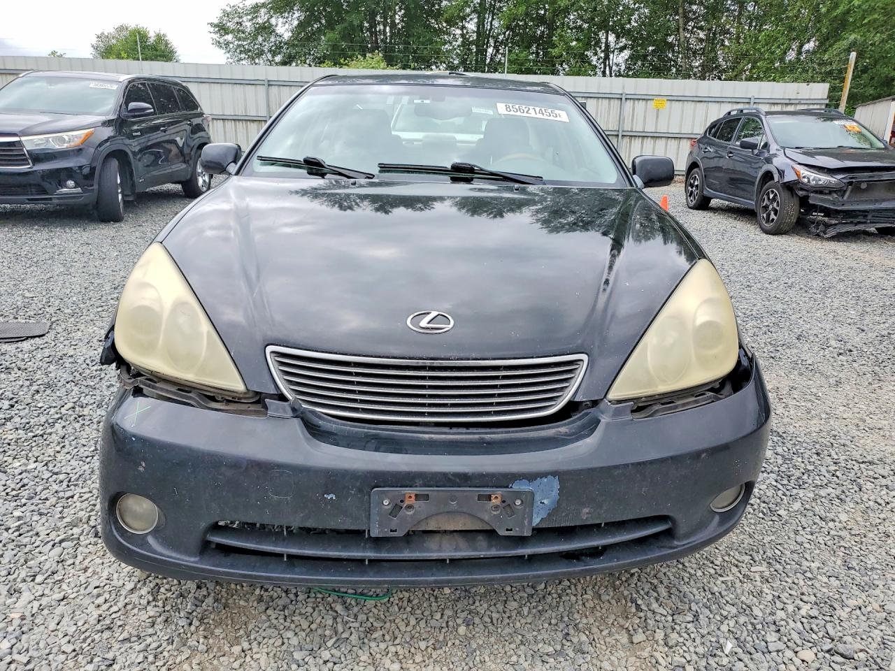2005 Lexus Es 330 Black vin: JTHBA30G150024043