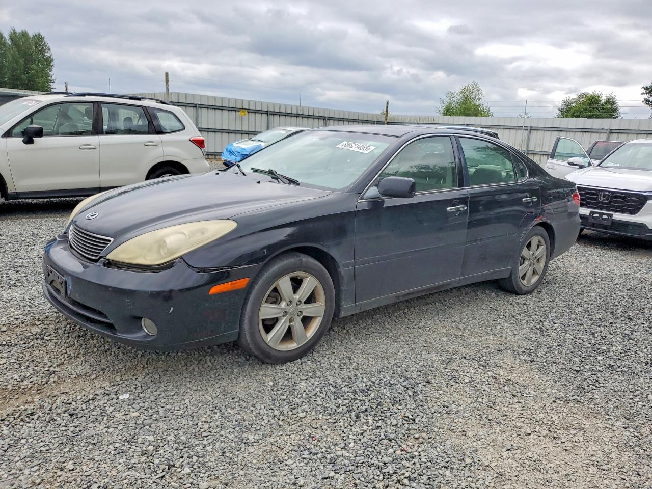 2005 Lexus Es 330 Black vin: JTHBA30G150024043