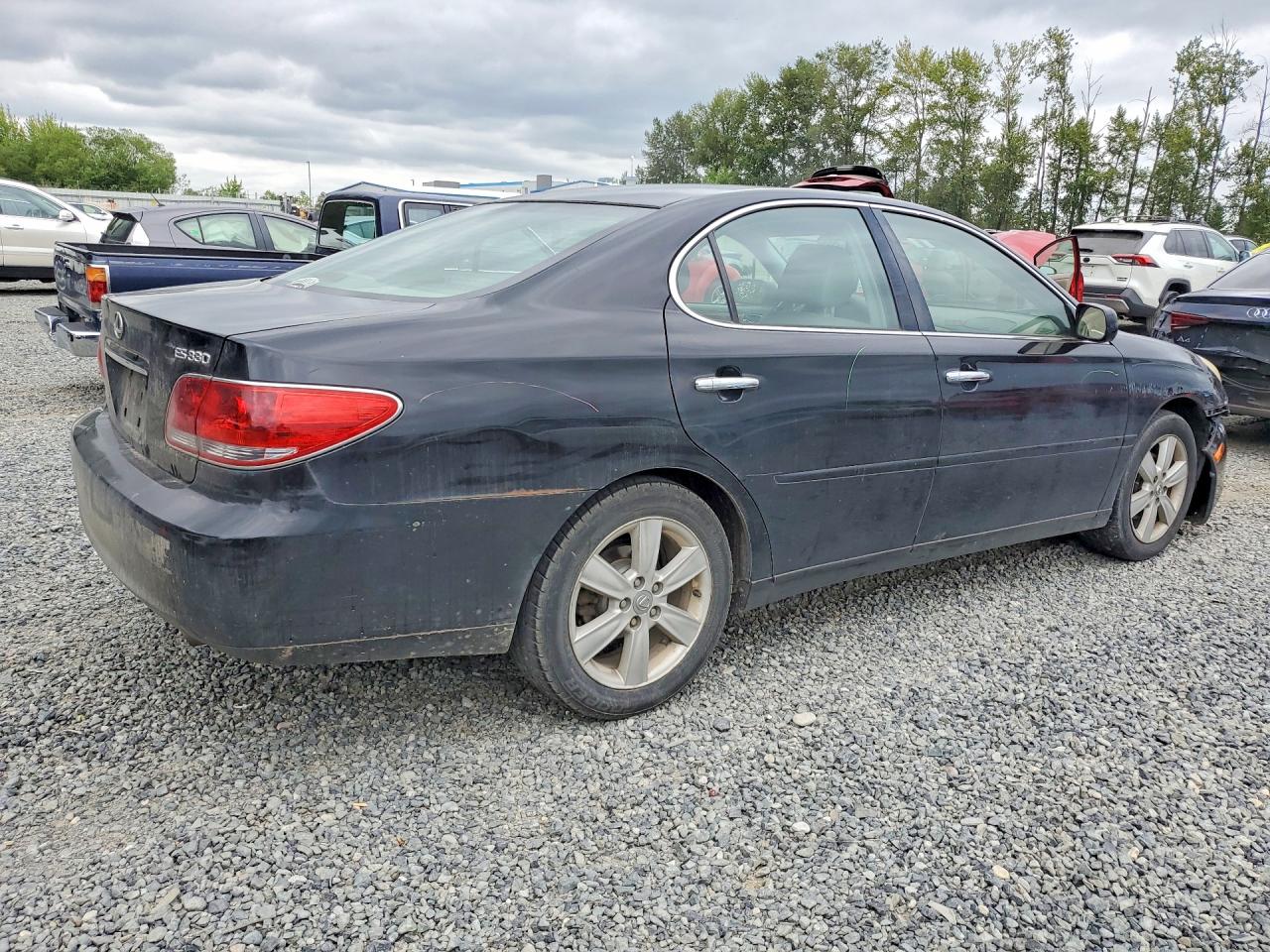 2005 Lexus Es 330 Black vin: JTHBA30G150024043