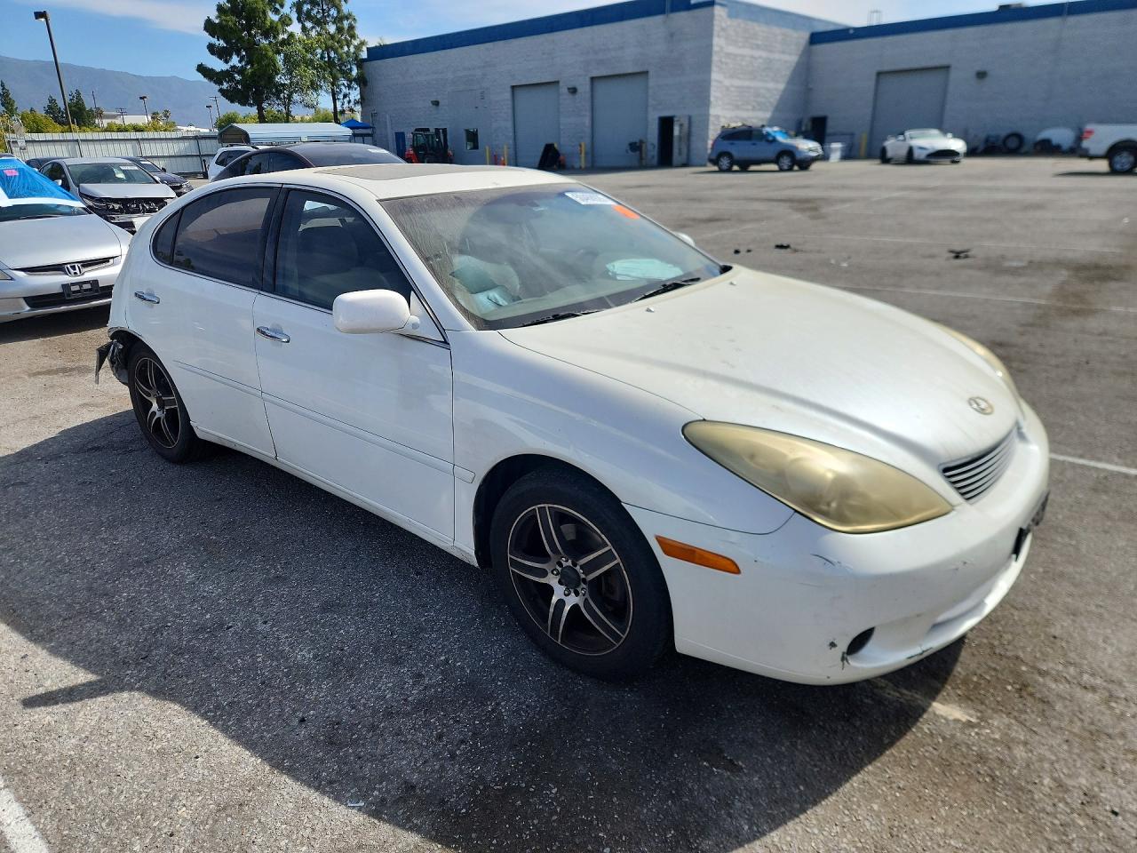 2005 Lexus Es White vin: JTHBA30G155104168
