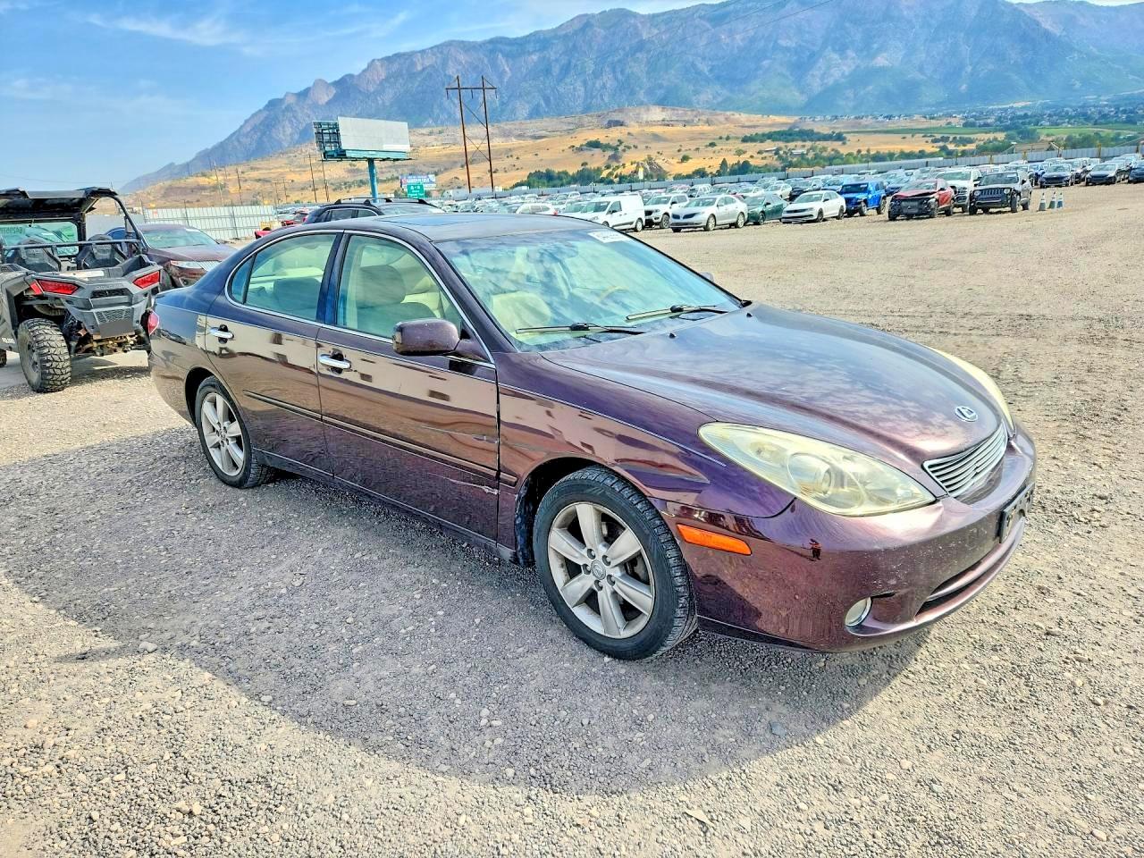2005 Lexus Es 330 Maroon vin: JTHBA30G155116157