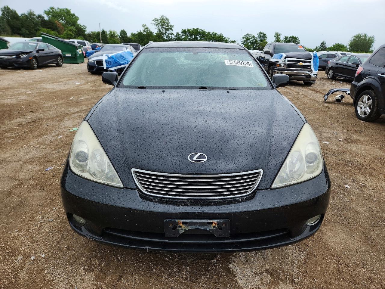 2005 Lexus Es 330 Черный vin: JTHBA30G155117762