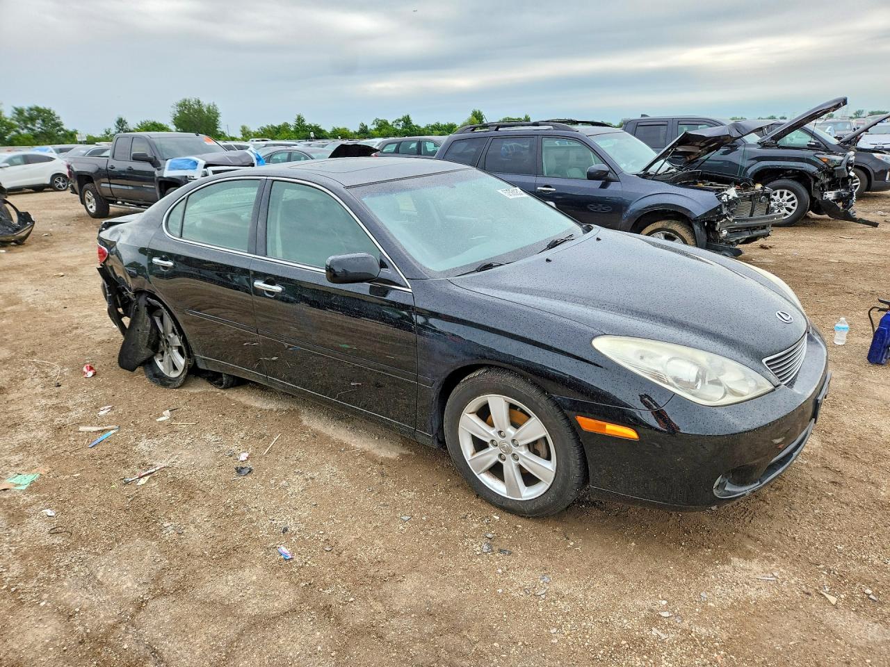 2005 Lexus Es 330 Черный vin: JTHBA30G155117762
