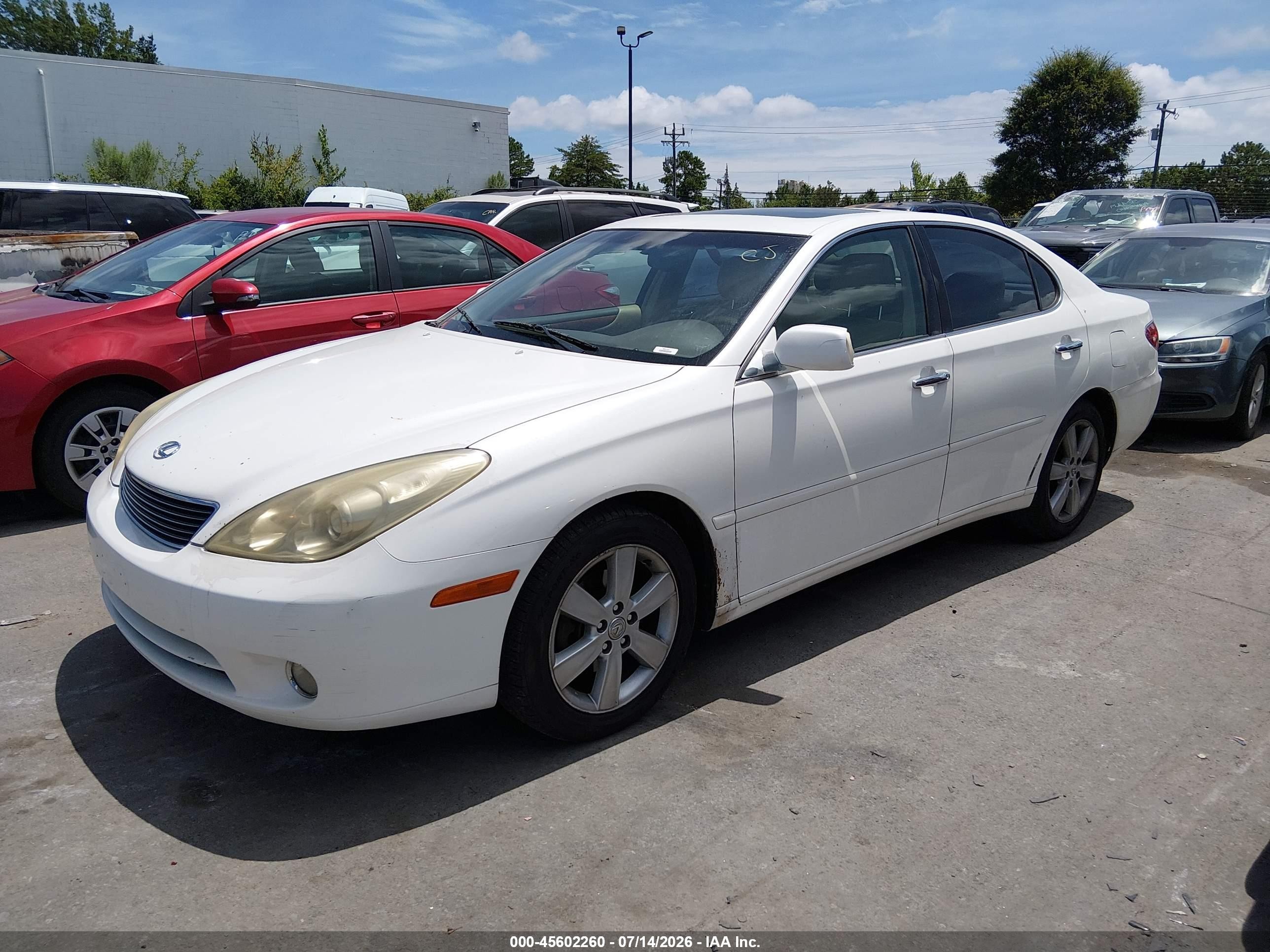 2005 Lexus Es 330   White vin: JTHBA30G155119298
