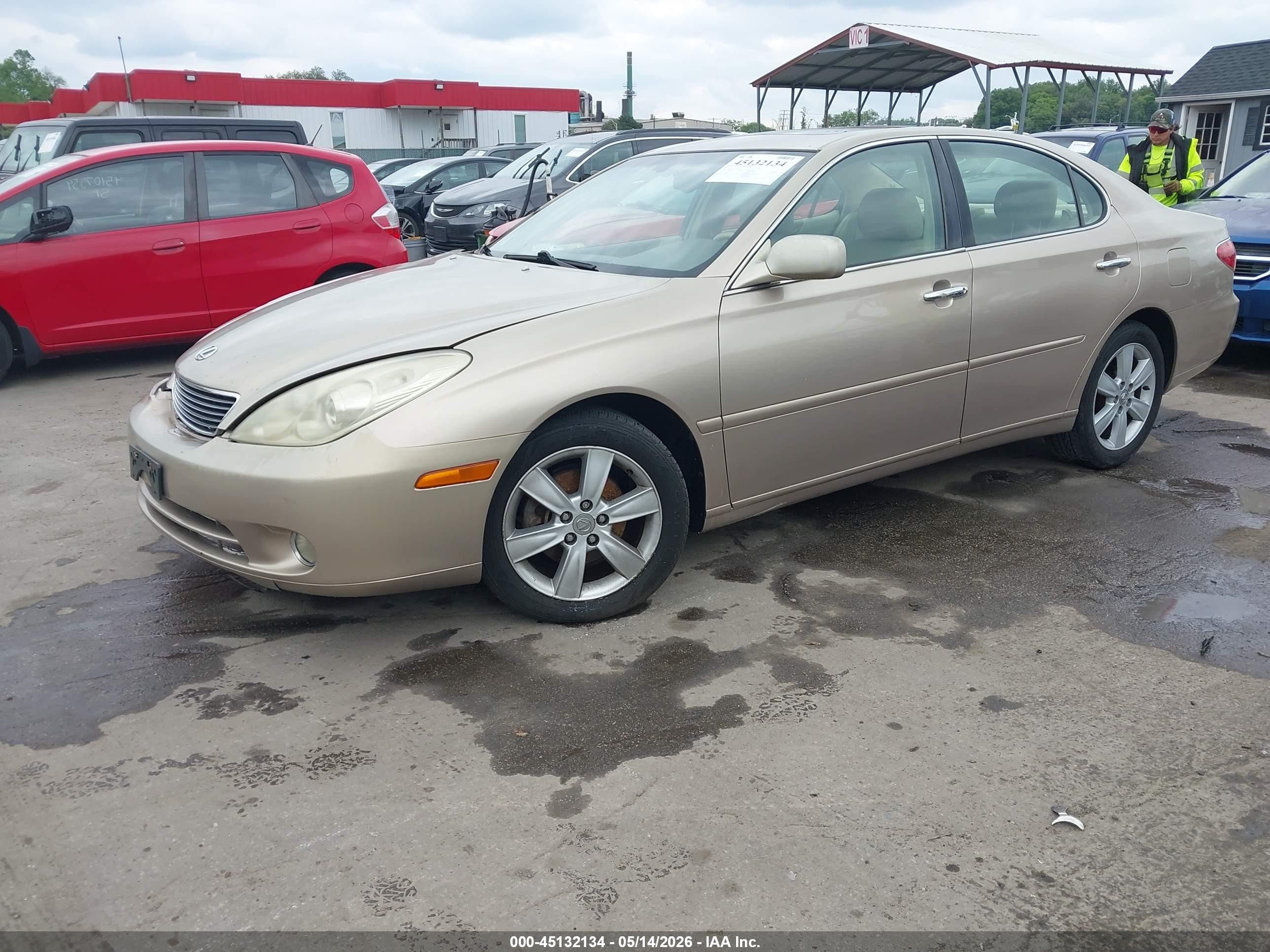 2006 Lexus Es 330   Gold vin: JTHBA30G165158684