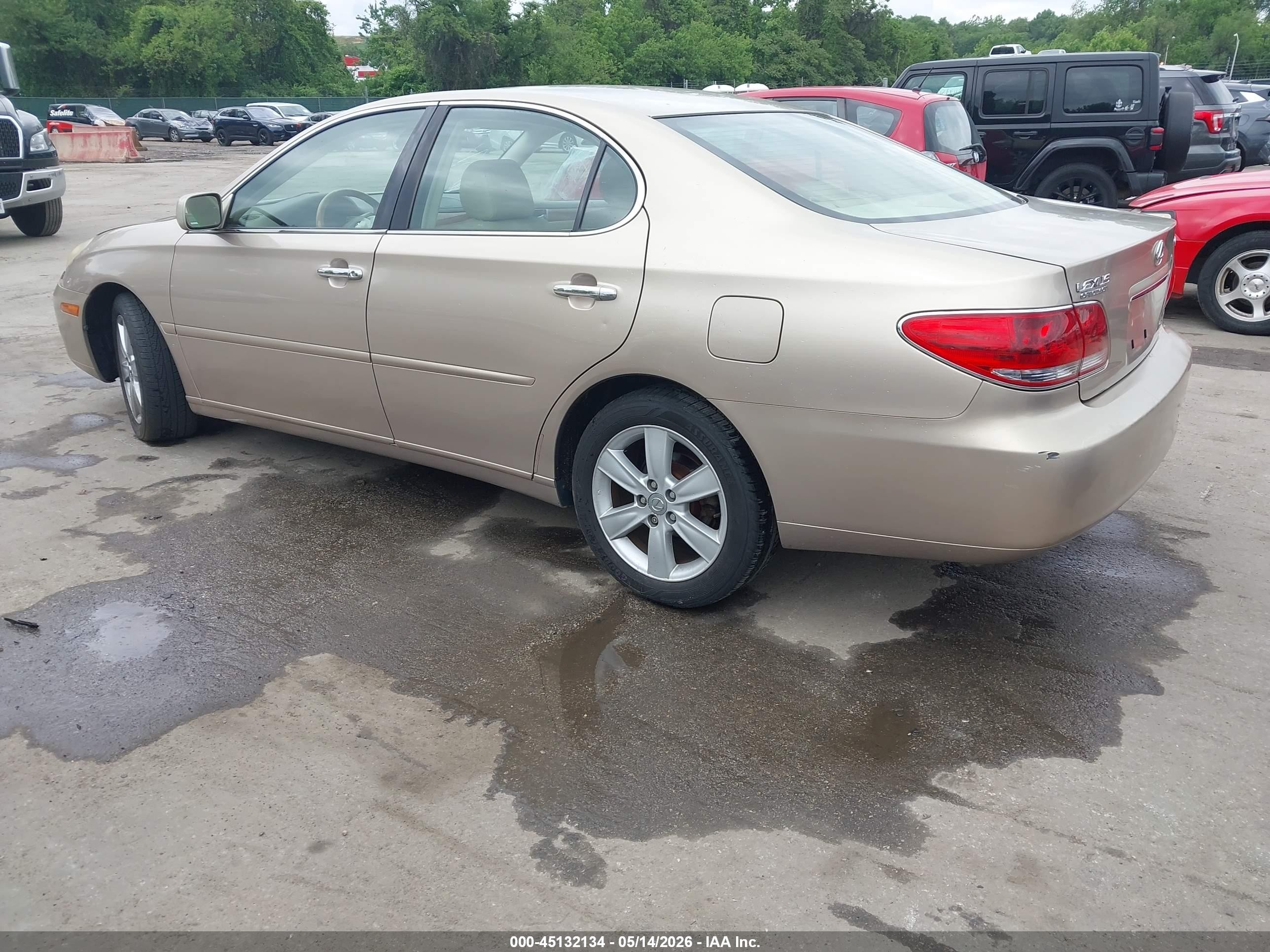 2006 Lexus Es 330   Gold vin: JTHBA30G165158684