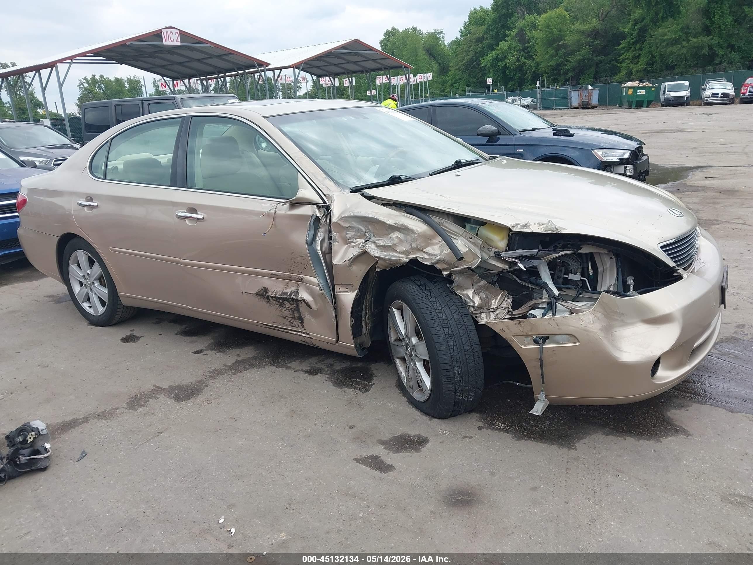 2006 Lexus Es 330   Gold vin: JTHBA30G165158684
