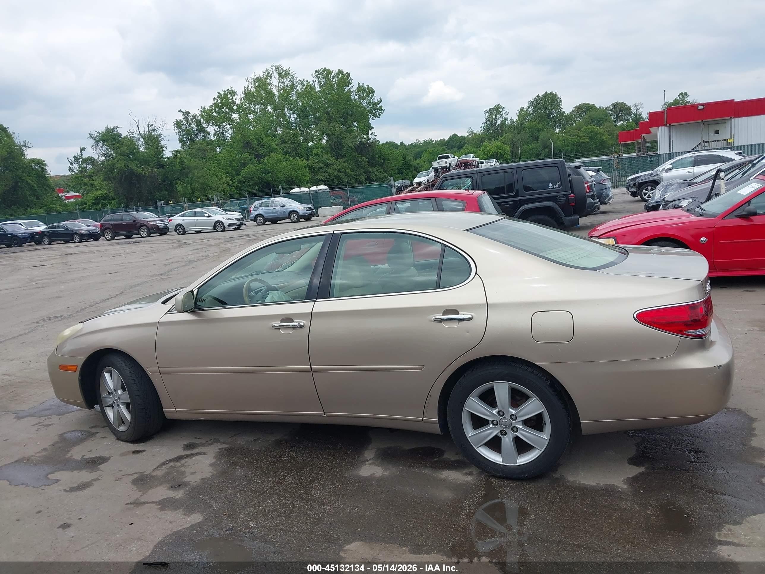 2006 Lexus Es 330   Gold vin: JTHBA30G165158684
