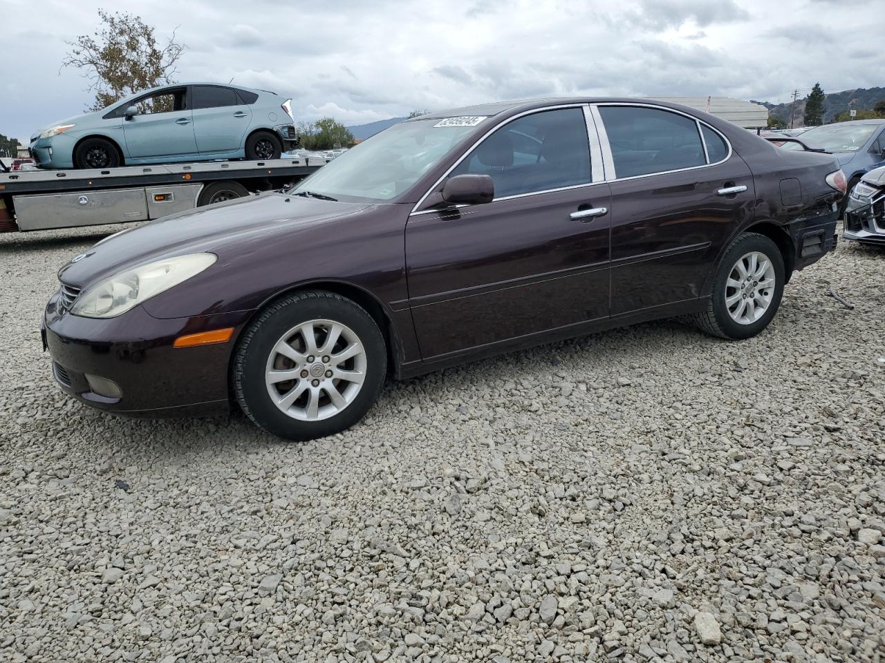 JTHBA30G245032010
