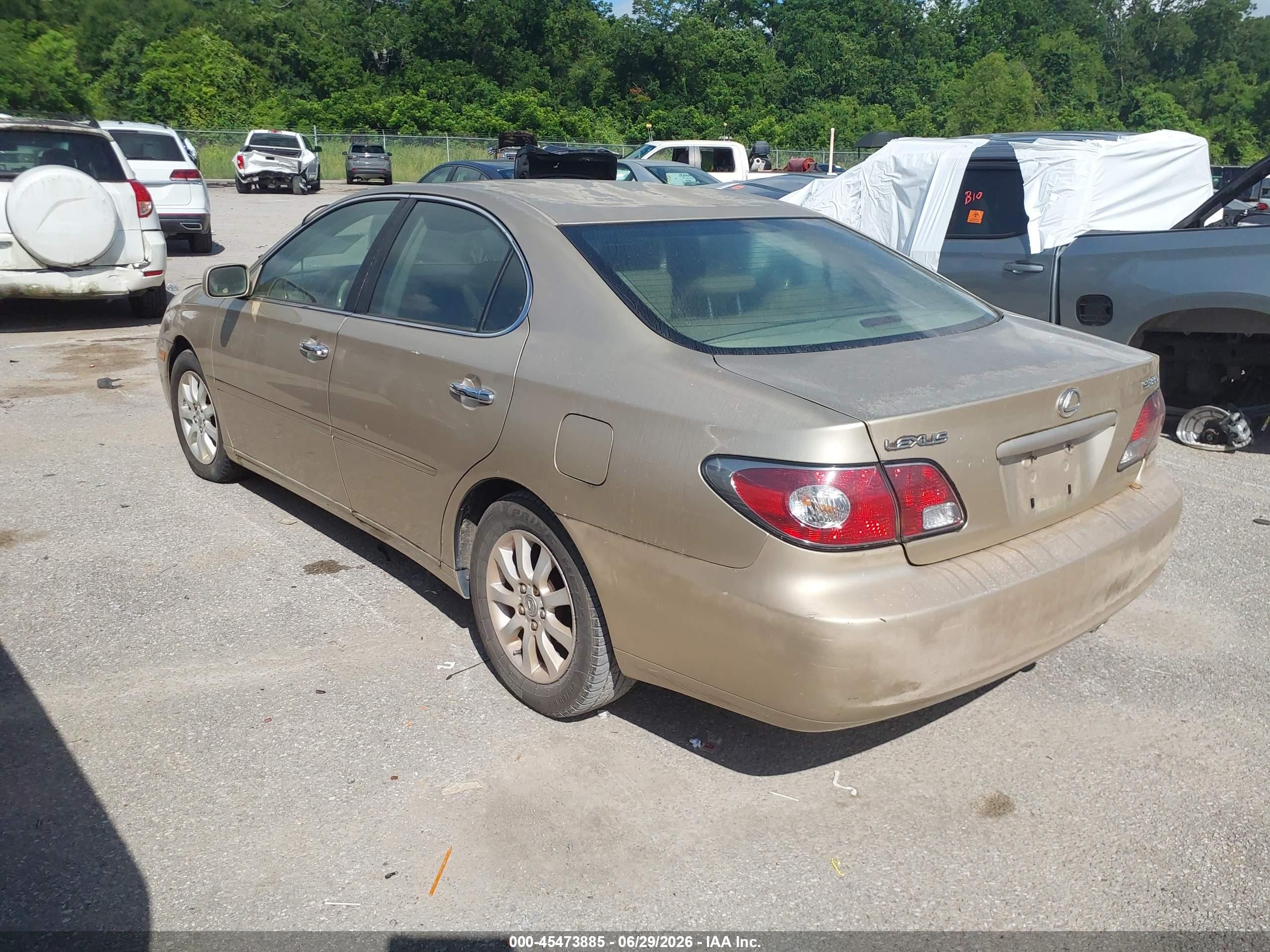 2004 Lexus Es 330   Золотой vin: JTHBA30G245032797
