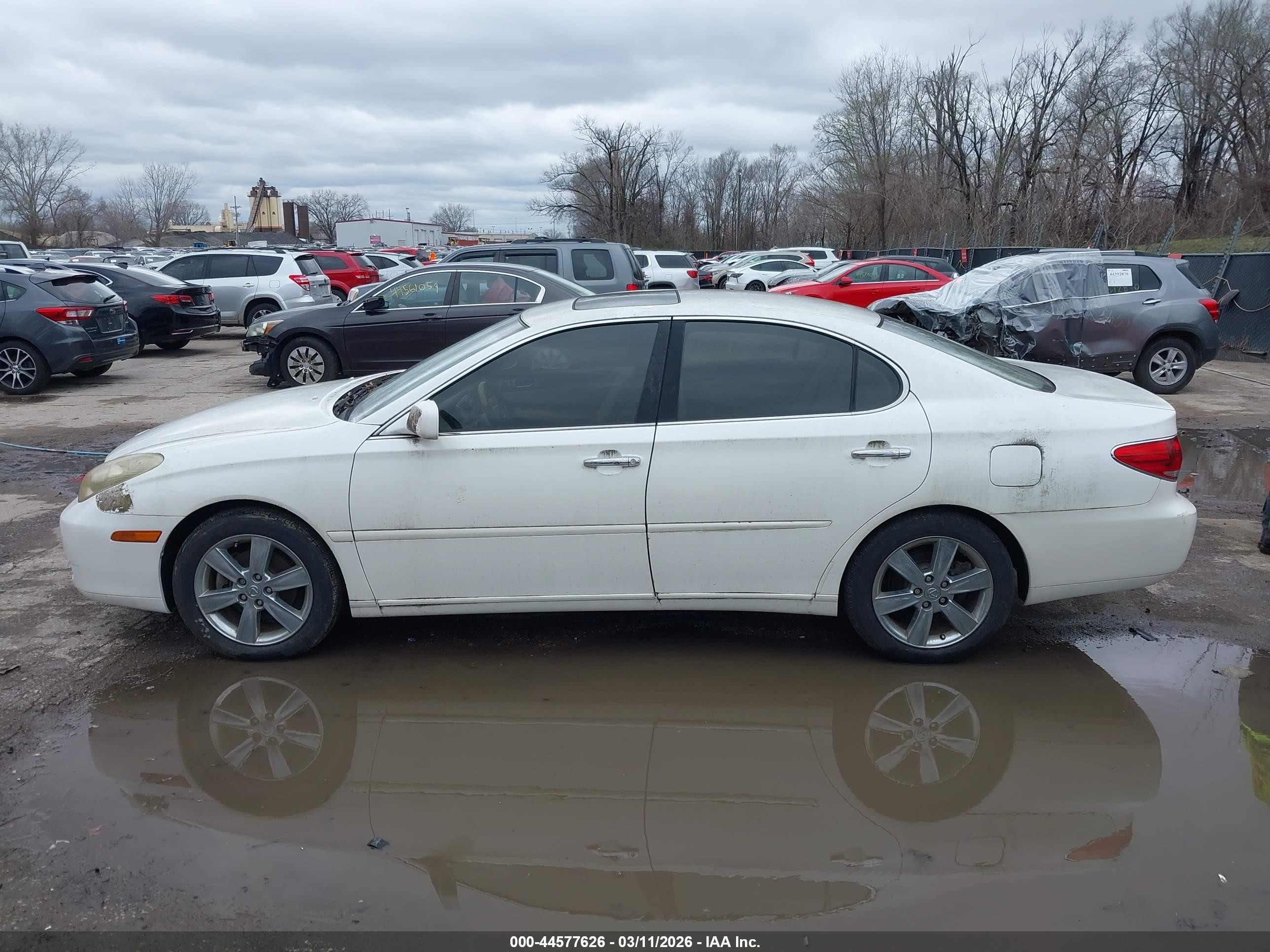 2005 Lexus Es 330   White vin: JTHBA30G255068636