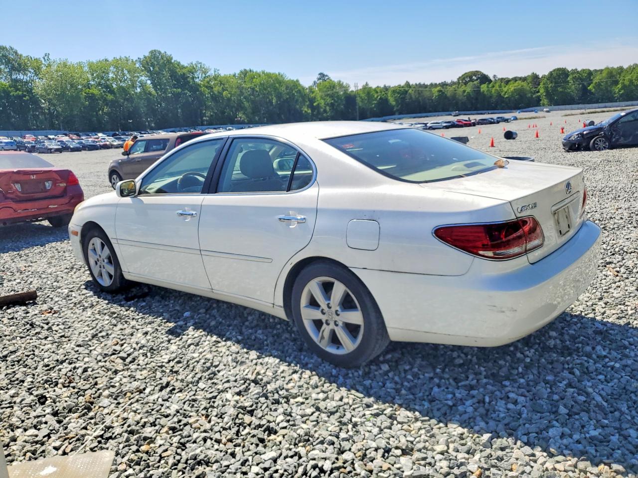 2005 Lexus Es 330 Белый vin: JTHBA30G255137664