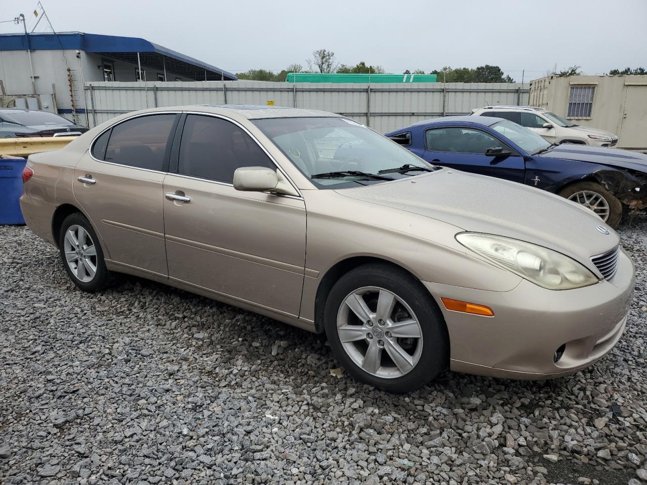 2006 Lexus Es 330 Tan vin: JTHBA30G265163327