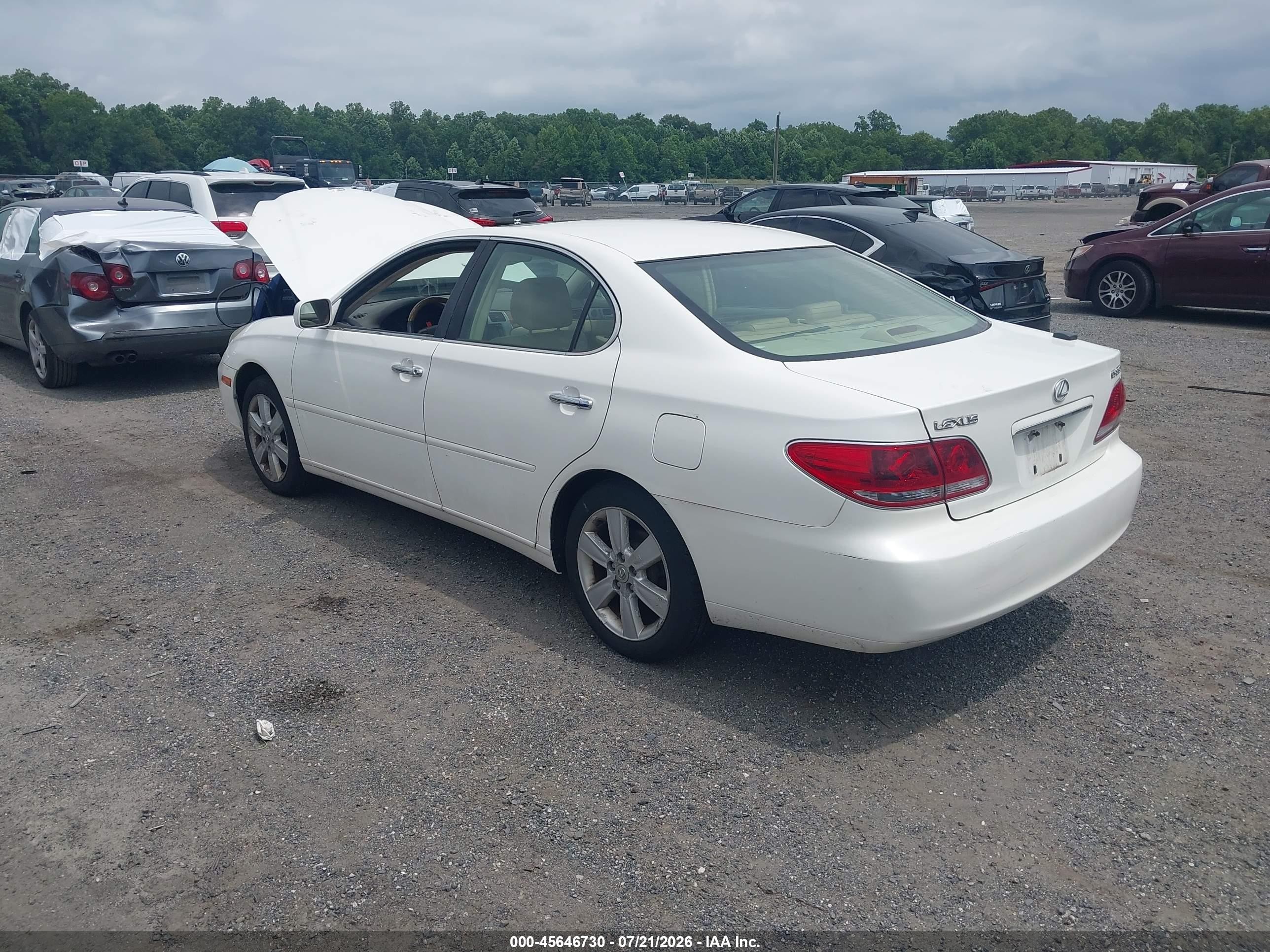 2005 Lexus Es 330 White vin: JTHBA30G355096588