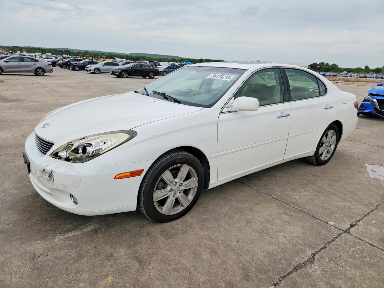 2005 Lexus Es 330 Белый vin: JTHBA30G355102390