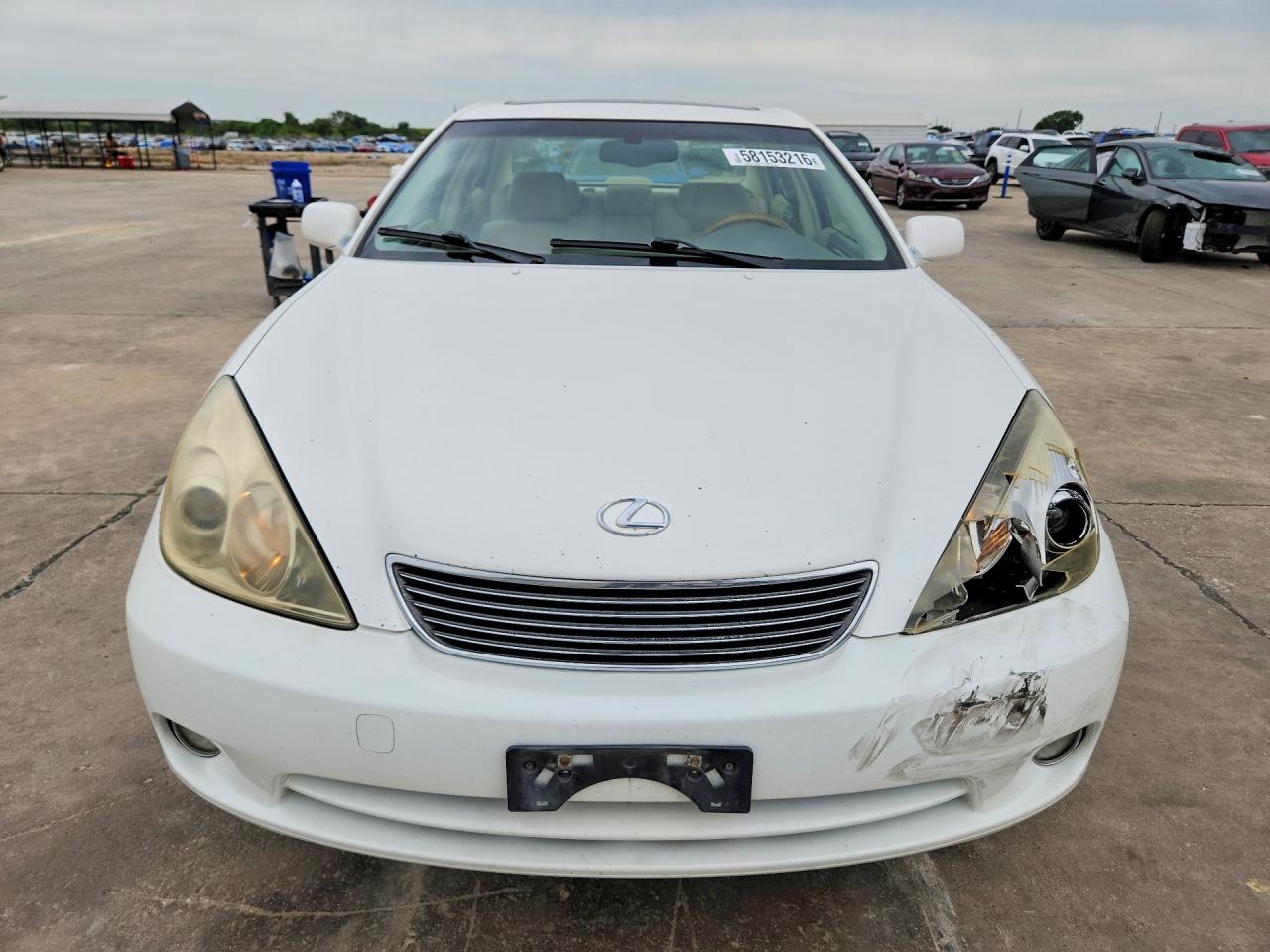 2005 Lexus Es 330 Белый vin: JTHBA30G355102390
