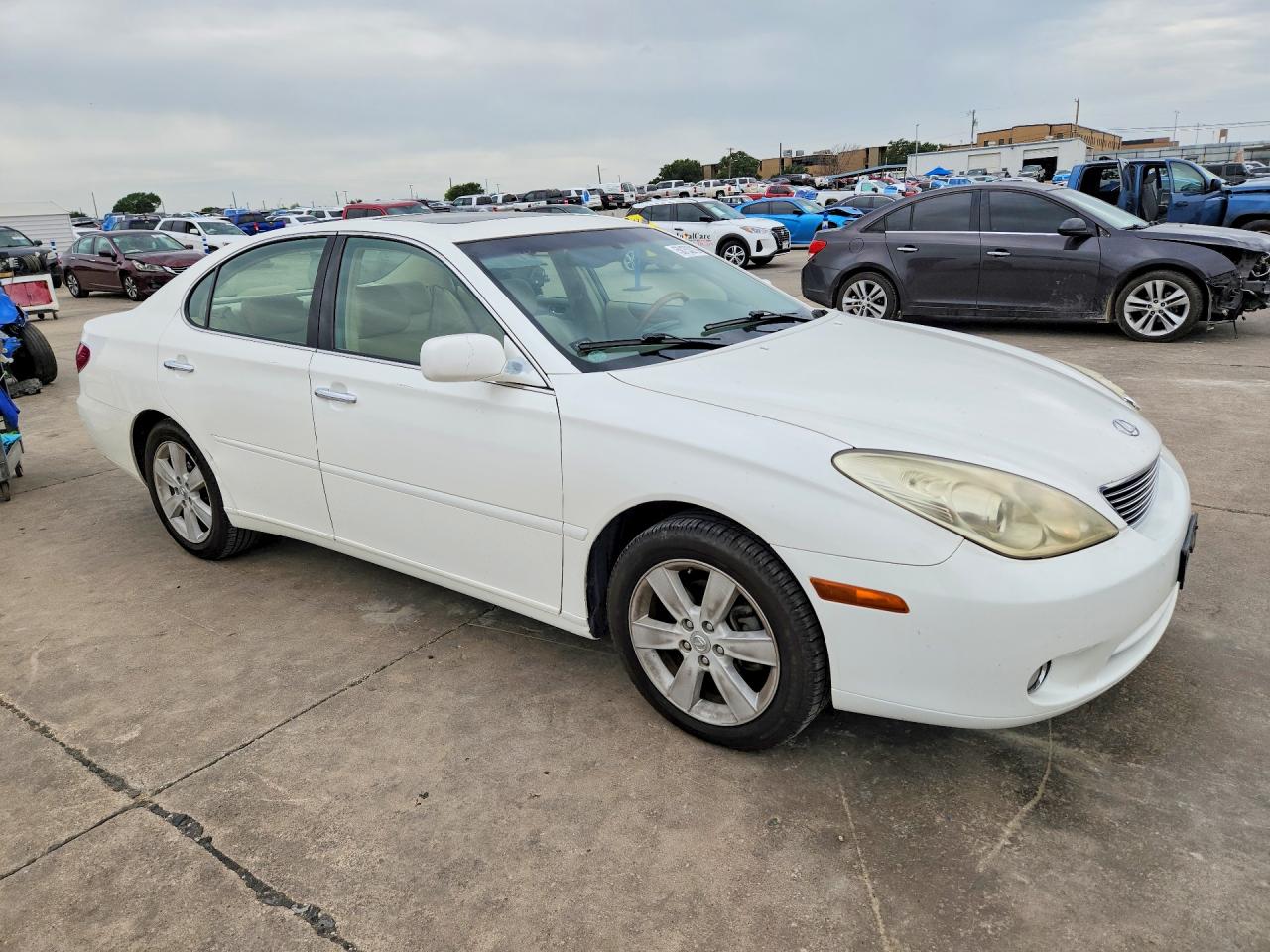 2005 Lexus Es 330 Белый vin: JTHBA30G355102390