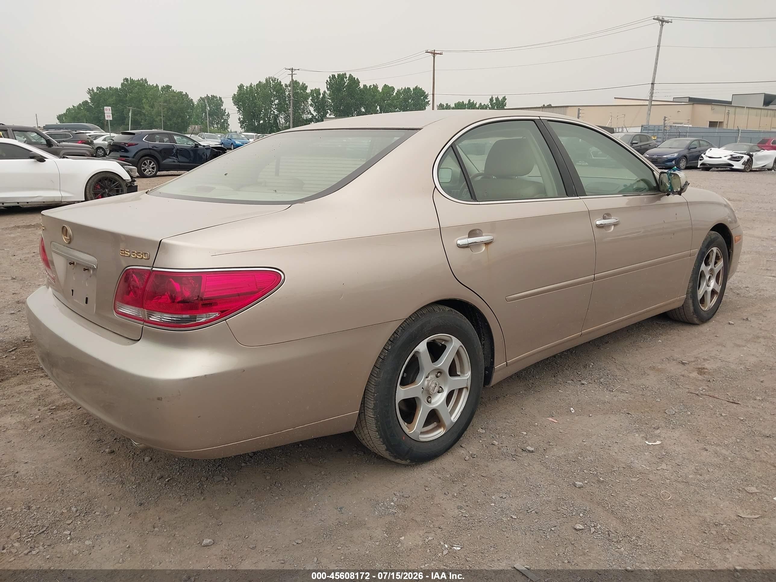 2006 Lexus Es 330   Gold vin: JTHBA30G365166270