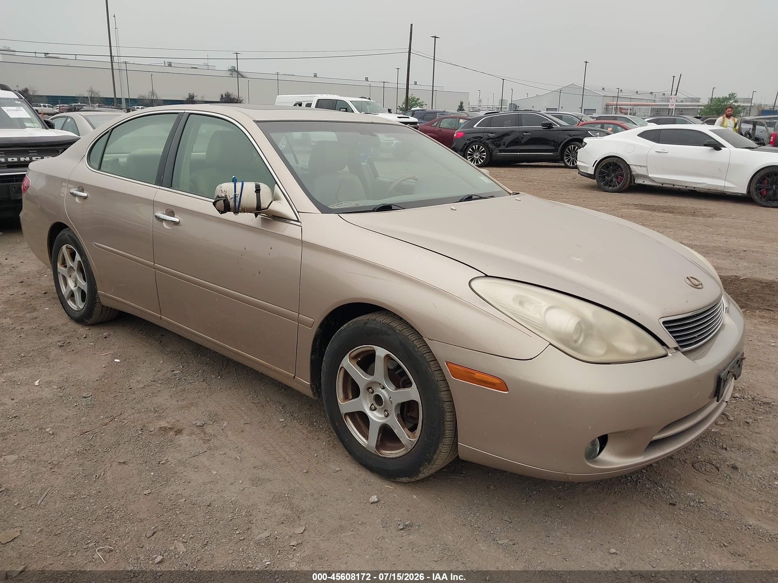 2006 Lexus Es 330   Gold vin: JTHBA30G365166270