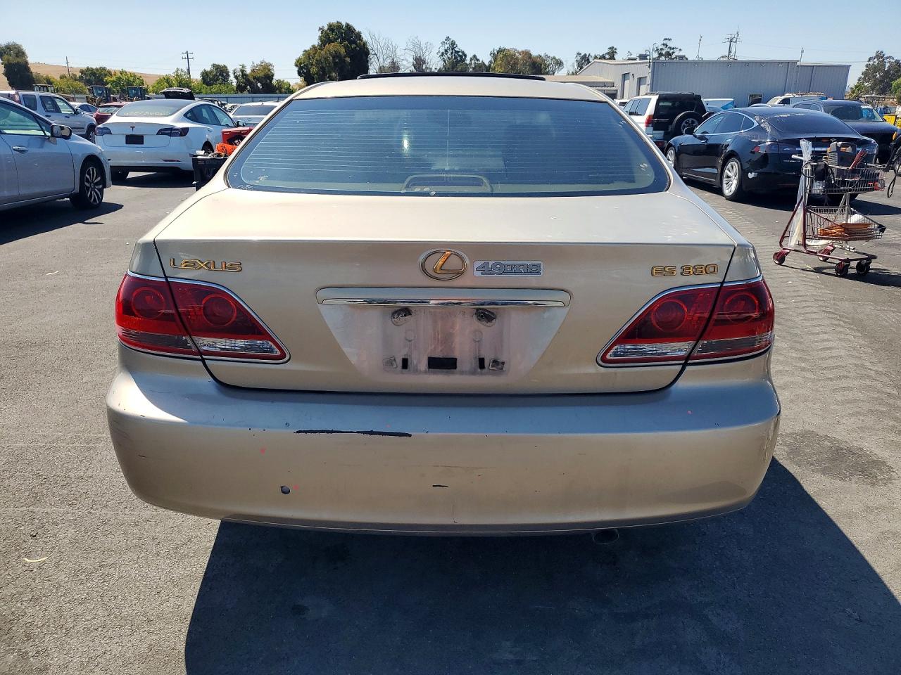 2005 Lexus Es 330 Tan vin: JTHBA30G455074633
