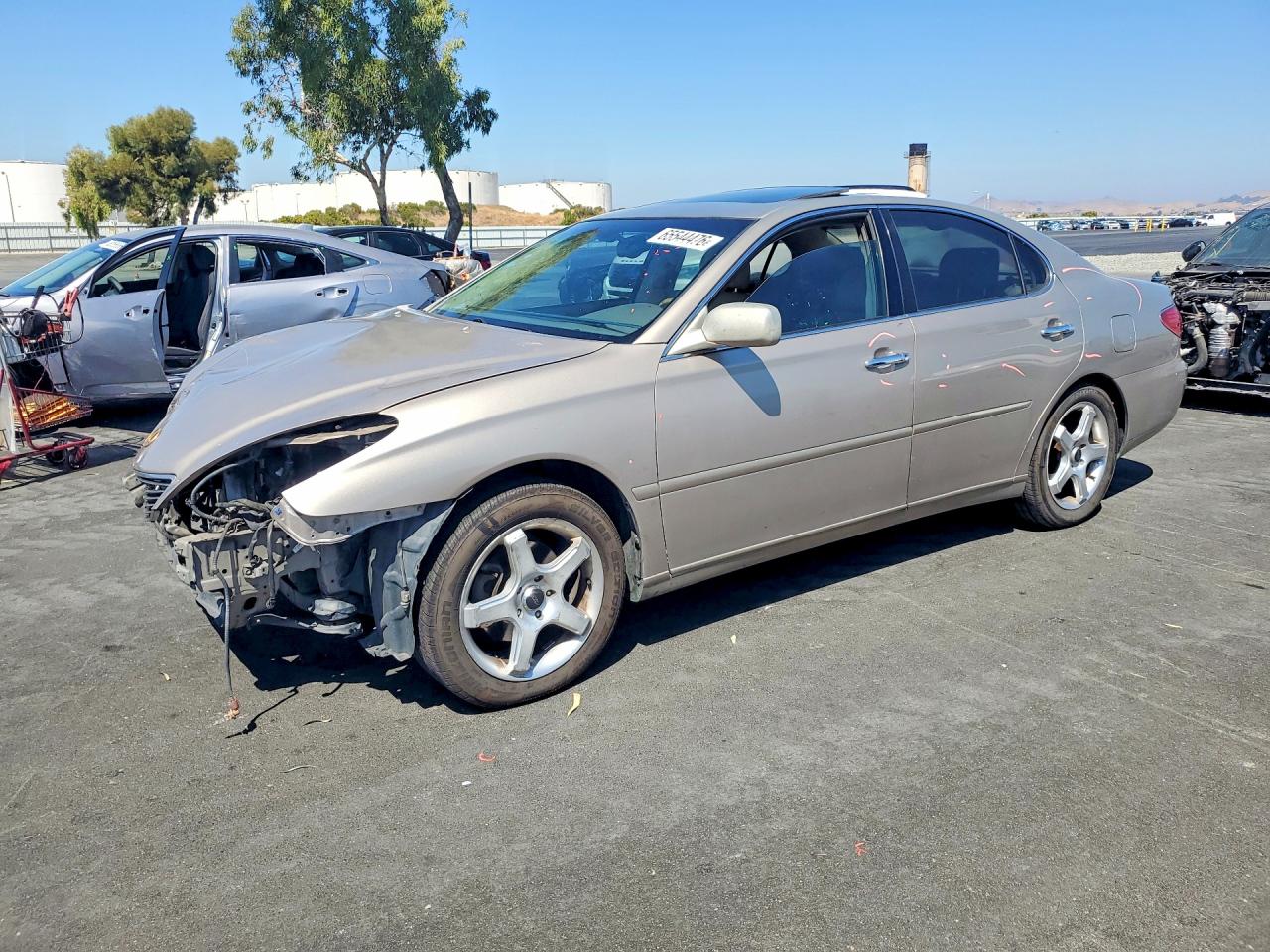 2005 Lexus Es 330 Tan vin: JTHBA30G455074633
