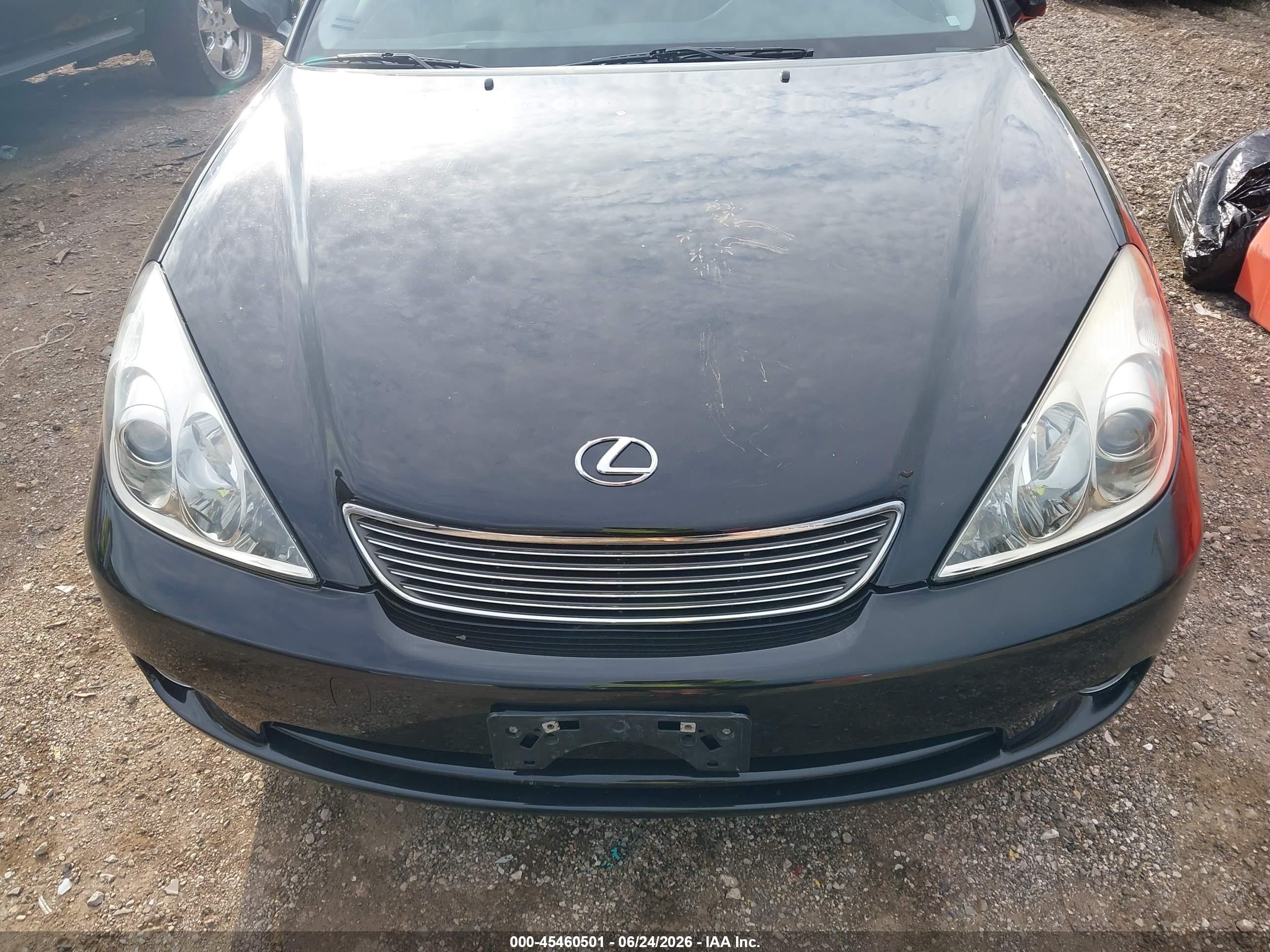 2006 Lexus Es 330   Black vin: JTHBA30G465153964