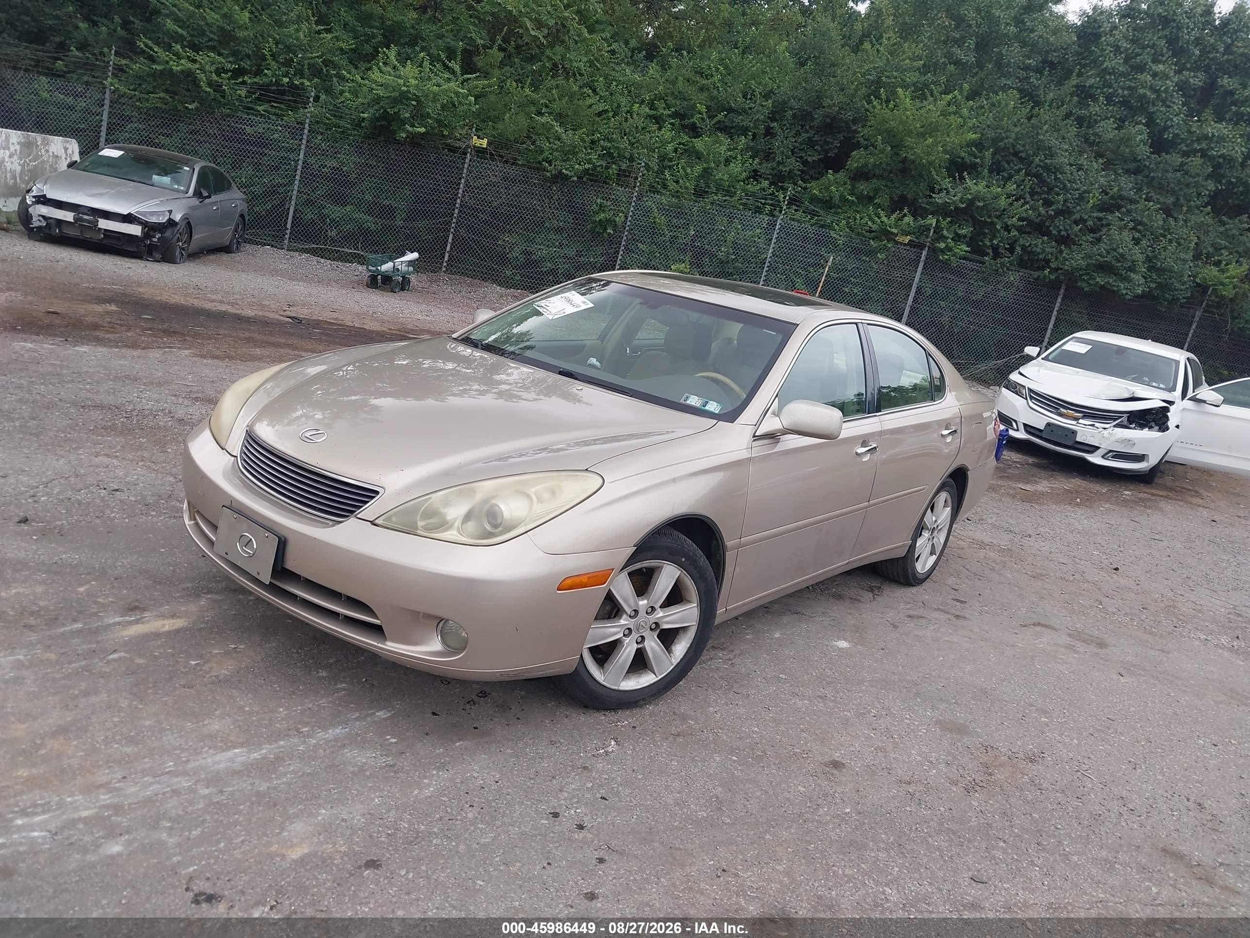 2006 Lexus Es 330 Золотой vin: JTHBA30G465168707