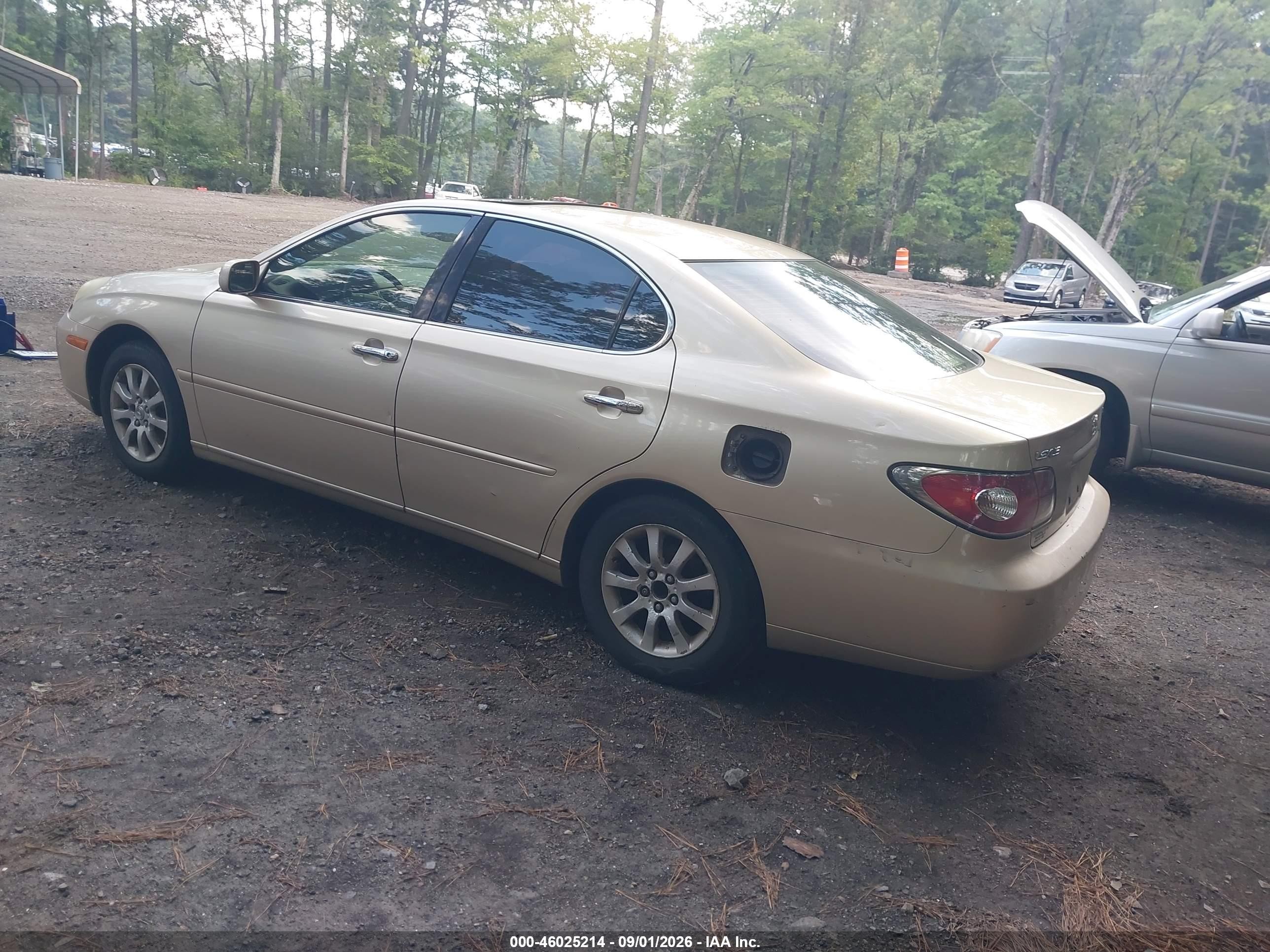 2004 Lexus Es 330 Gold vin: JTHBA30G540013884