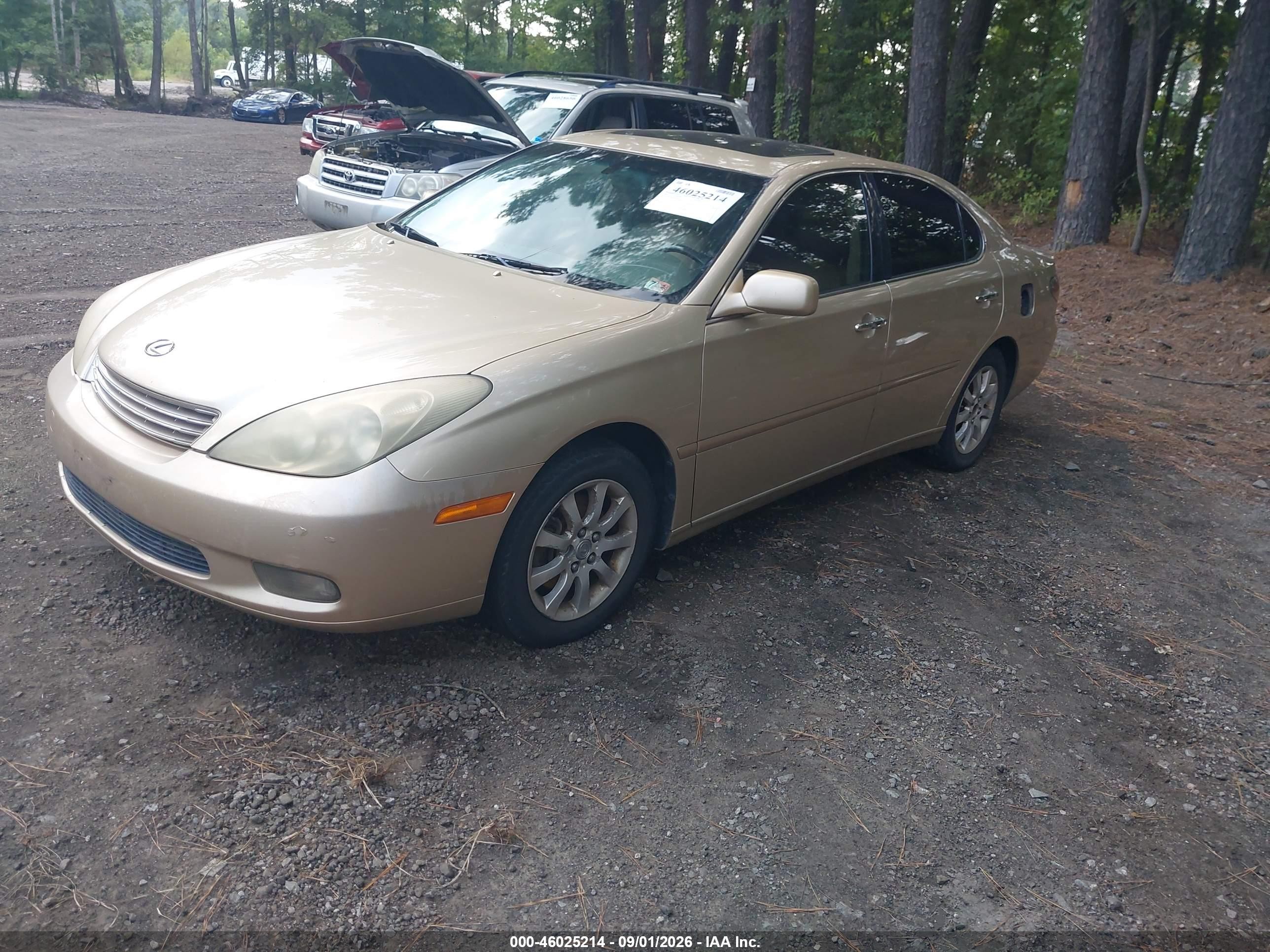 2004 Lexus Es 330 Gold vin: JTHBA30G540013884