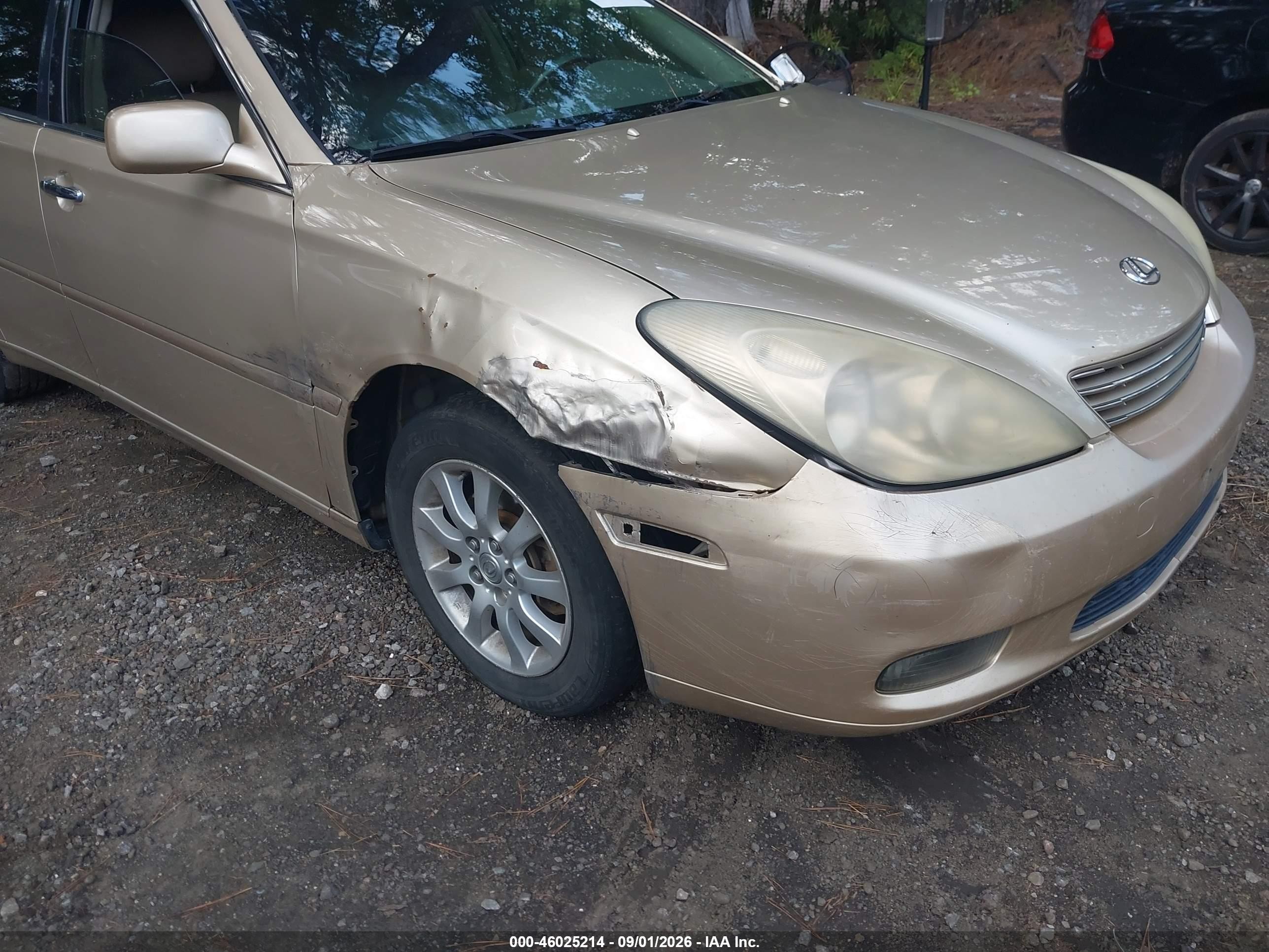 2004 Lexus Es 330 Gold vin: JTHBA30G540013884