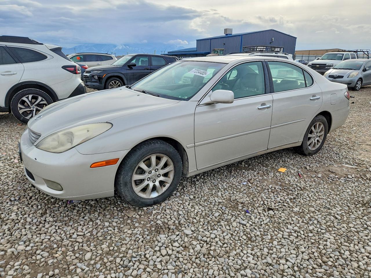 JTHBA30G545011314