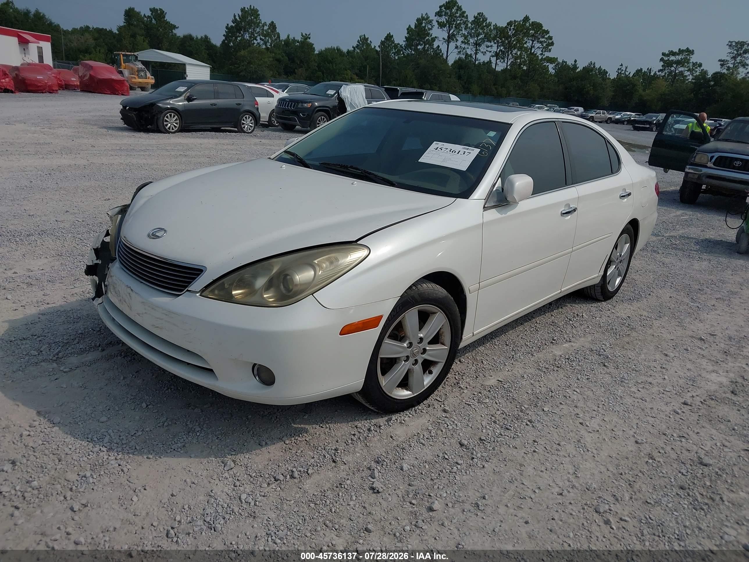 2005 Lexus Es 330   White vin: JTHBA30G555061454
