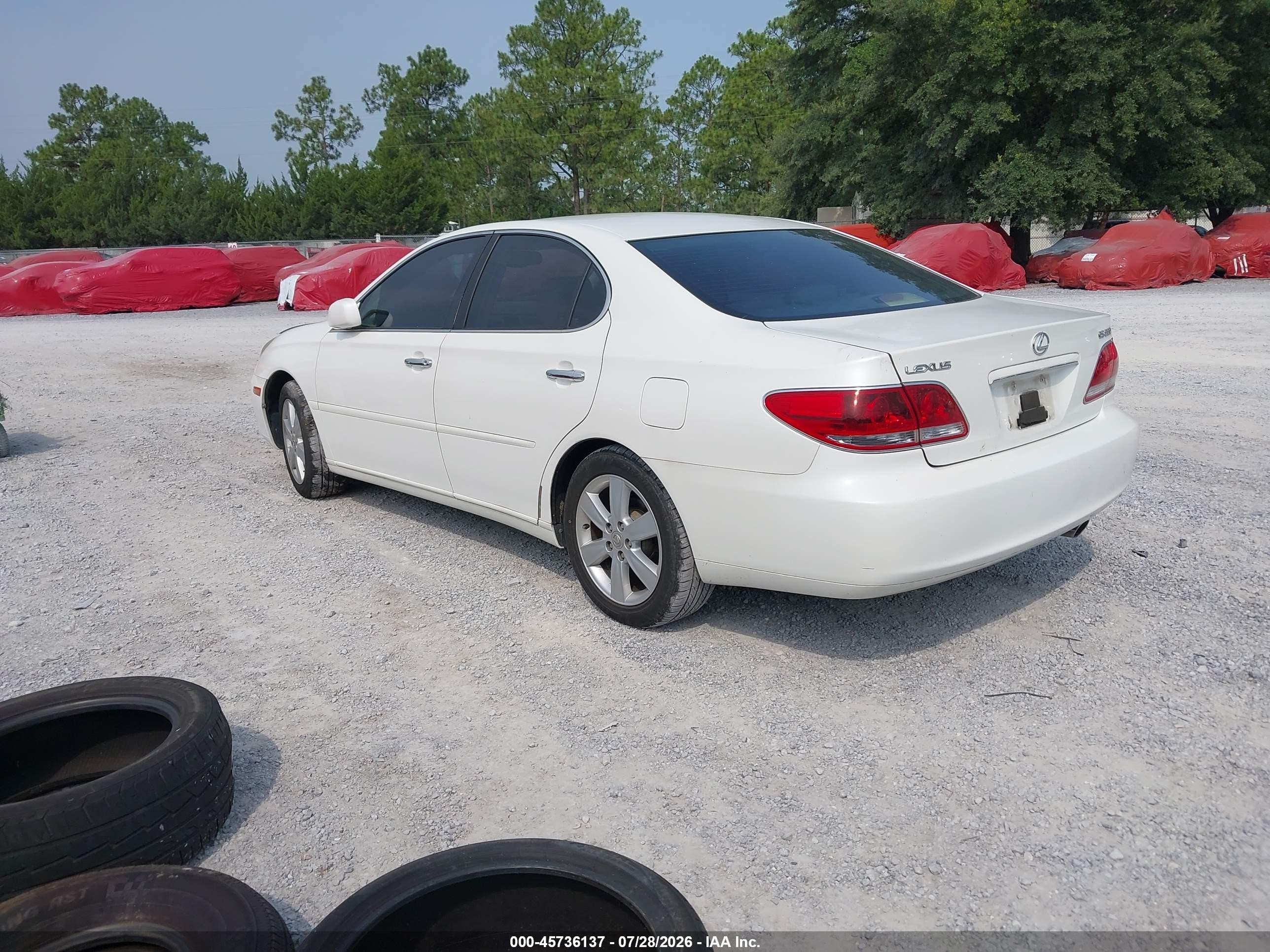 2005 Lexus Es 330   White vin: JTHBA30G555061454