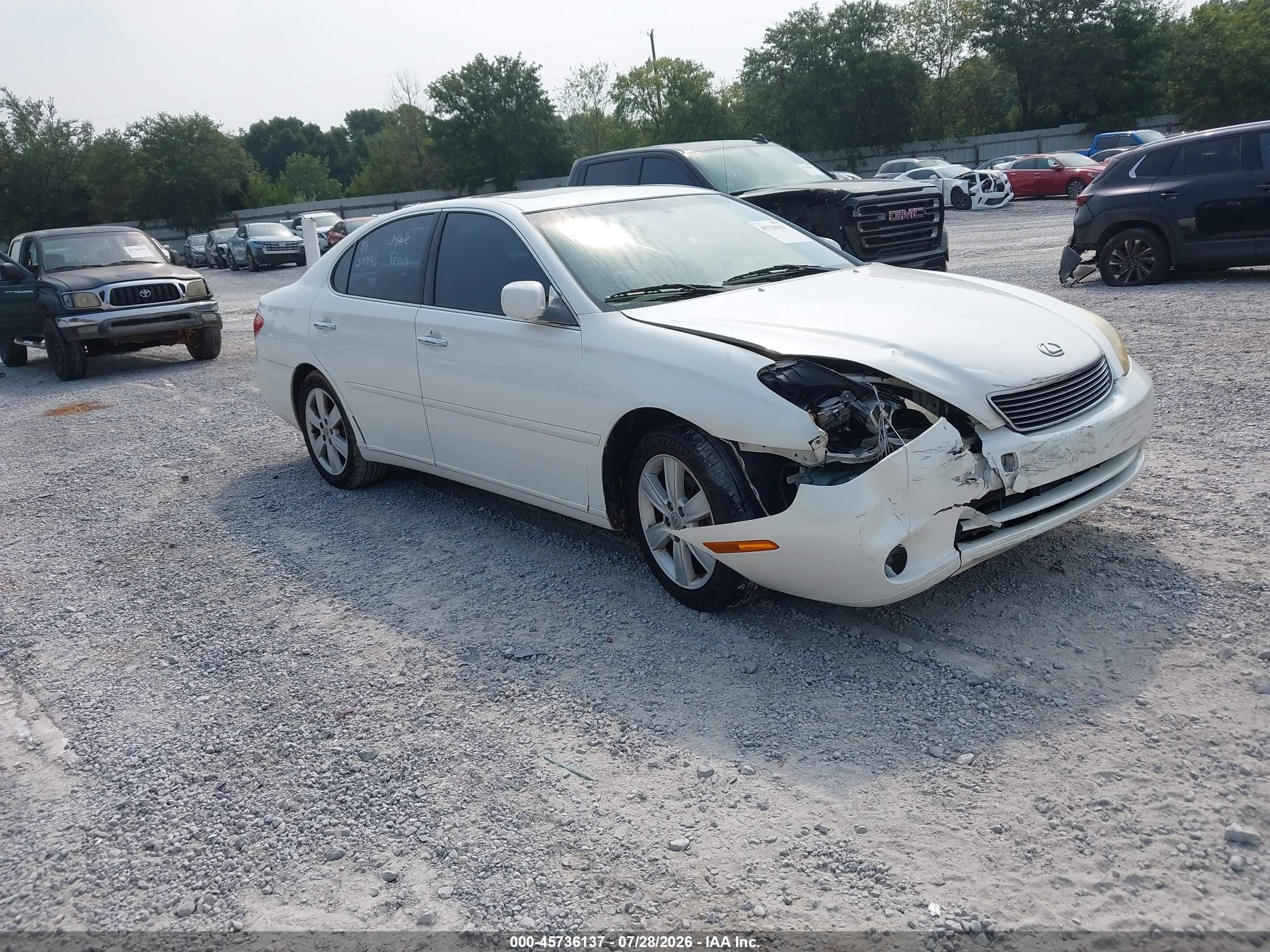 2005 Lexus Es 330   White vin: JTHBA30G555061454